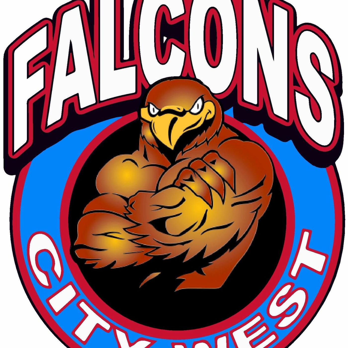 SSS: City West Falcons VNL Presentation Night 110917 episode artwork