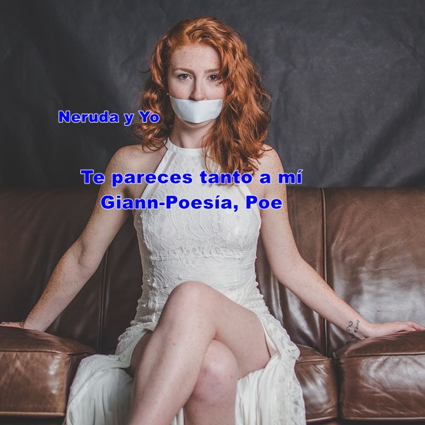 Poemas en mi Voz