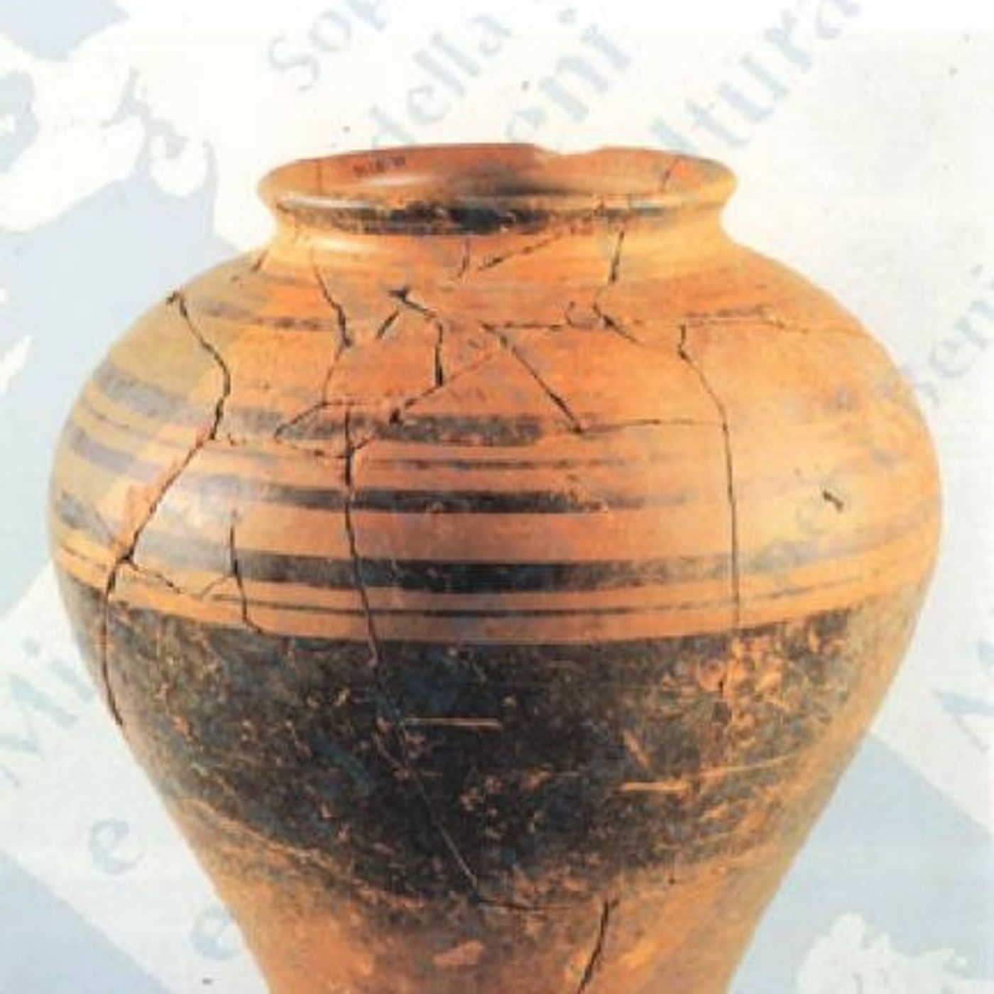 didattica museale - audiodescrizioni