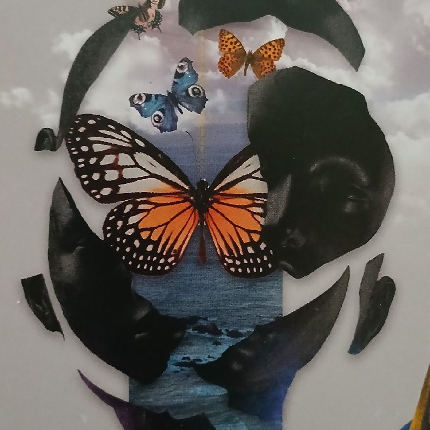 Lucid Dreaming, Lucid Teaching - The Questioning Mind episode artwork
