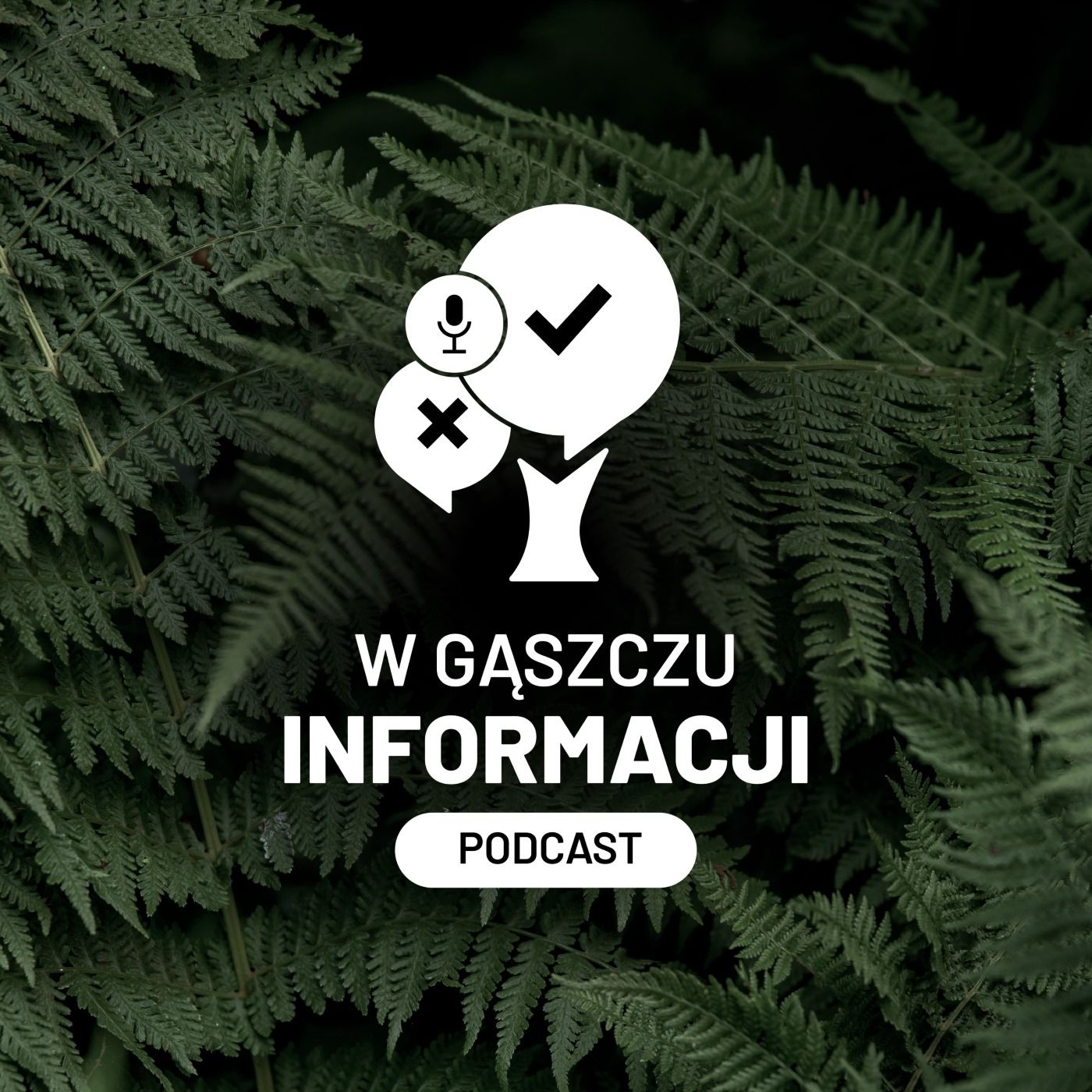 W gąszczu informacji