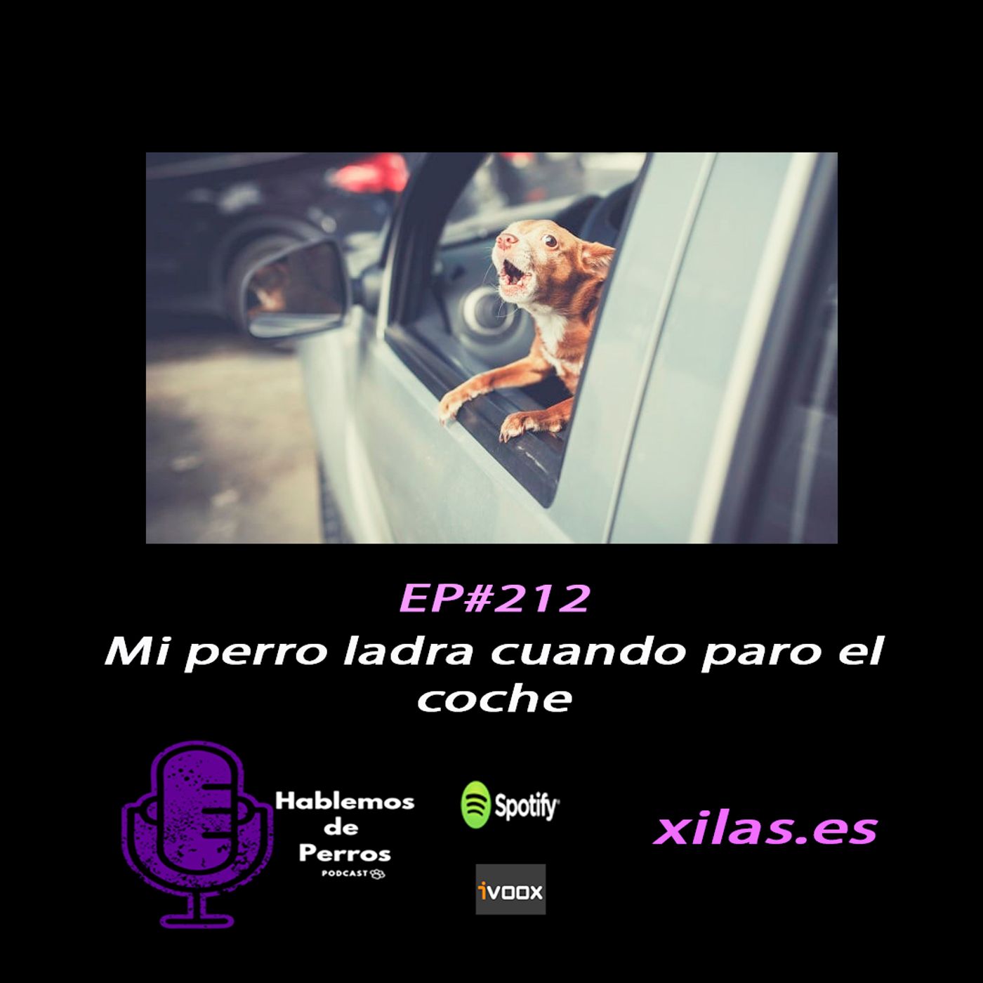 Hablemos de perros
