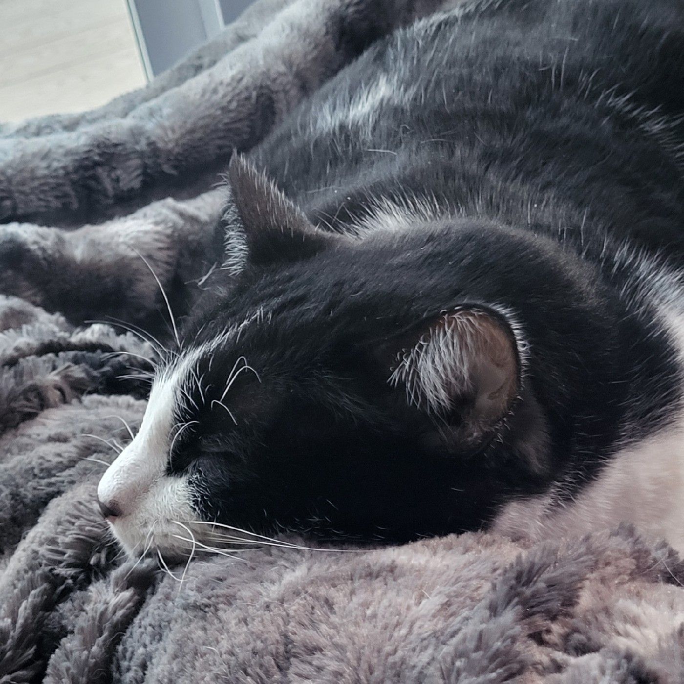 SweetDreamsMyDarling podcast