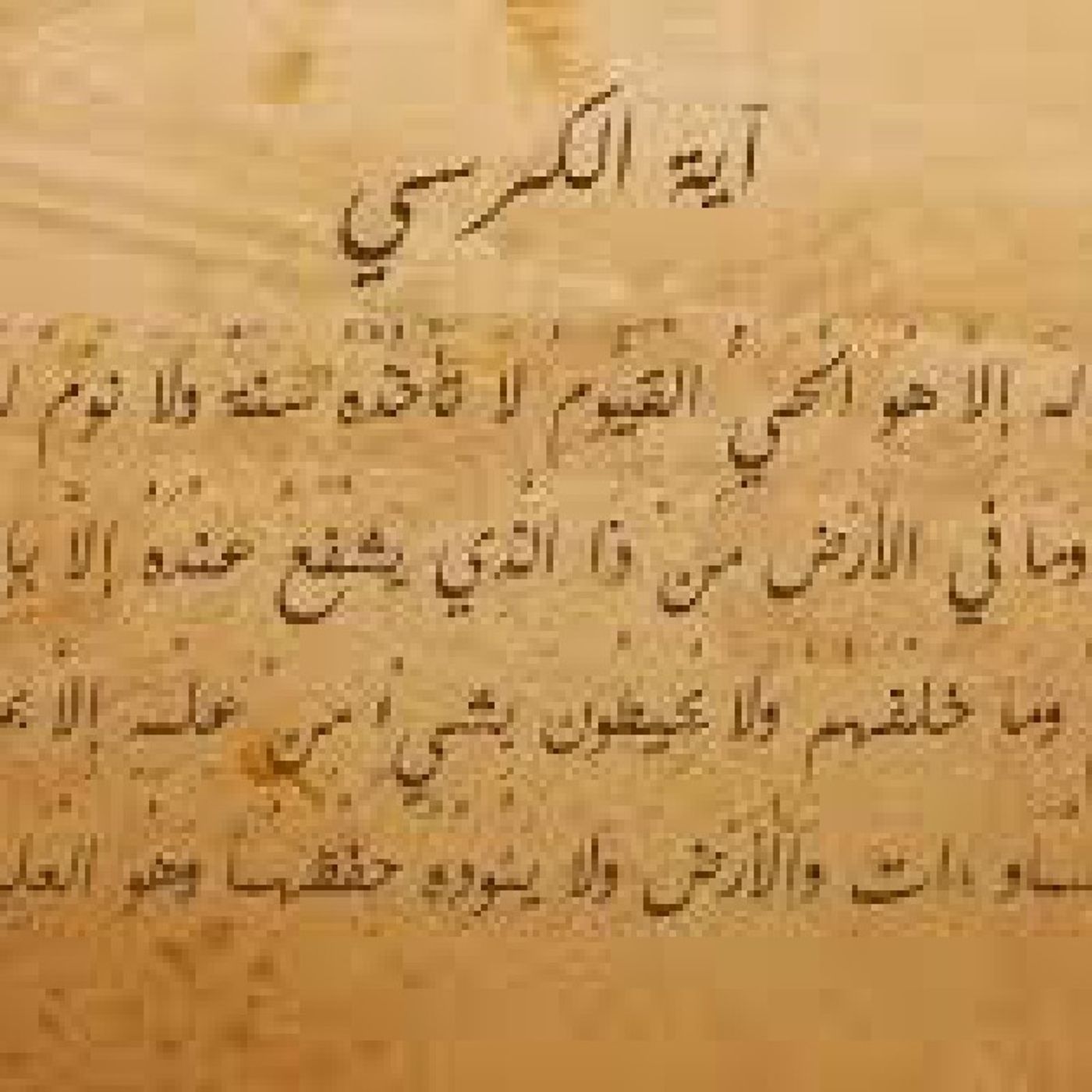 Admir Netoツ\'s show