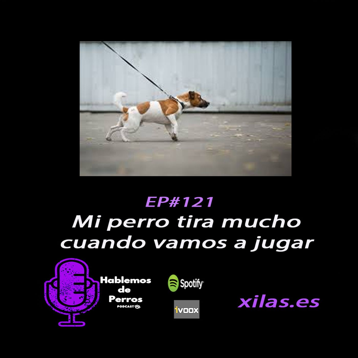Hablemos de perros