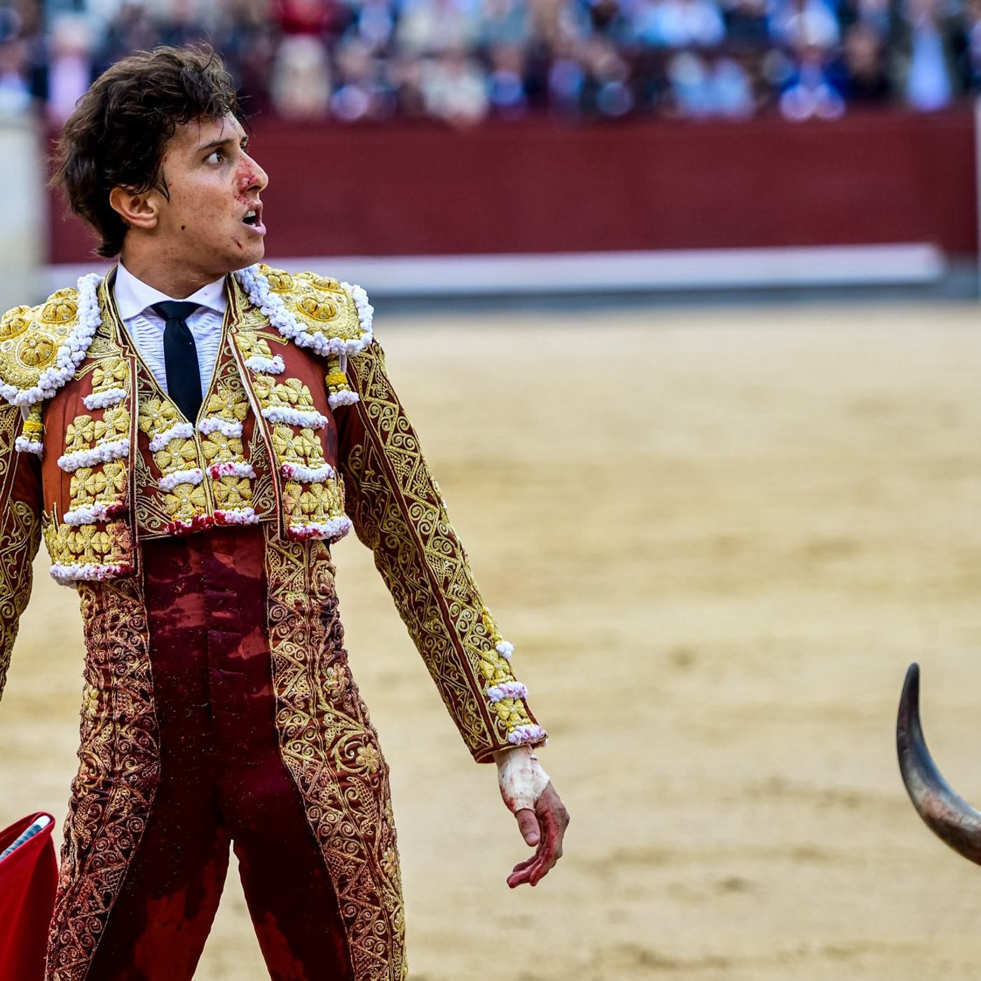 Al Alimón: El "esfuerzo" sin premio de Daniel Luque y el regreso del Roca Rey, "el más taquillero"