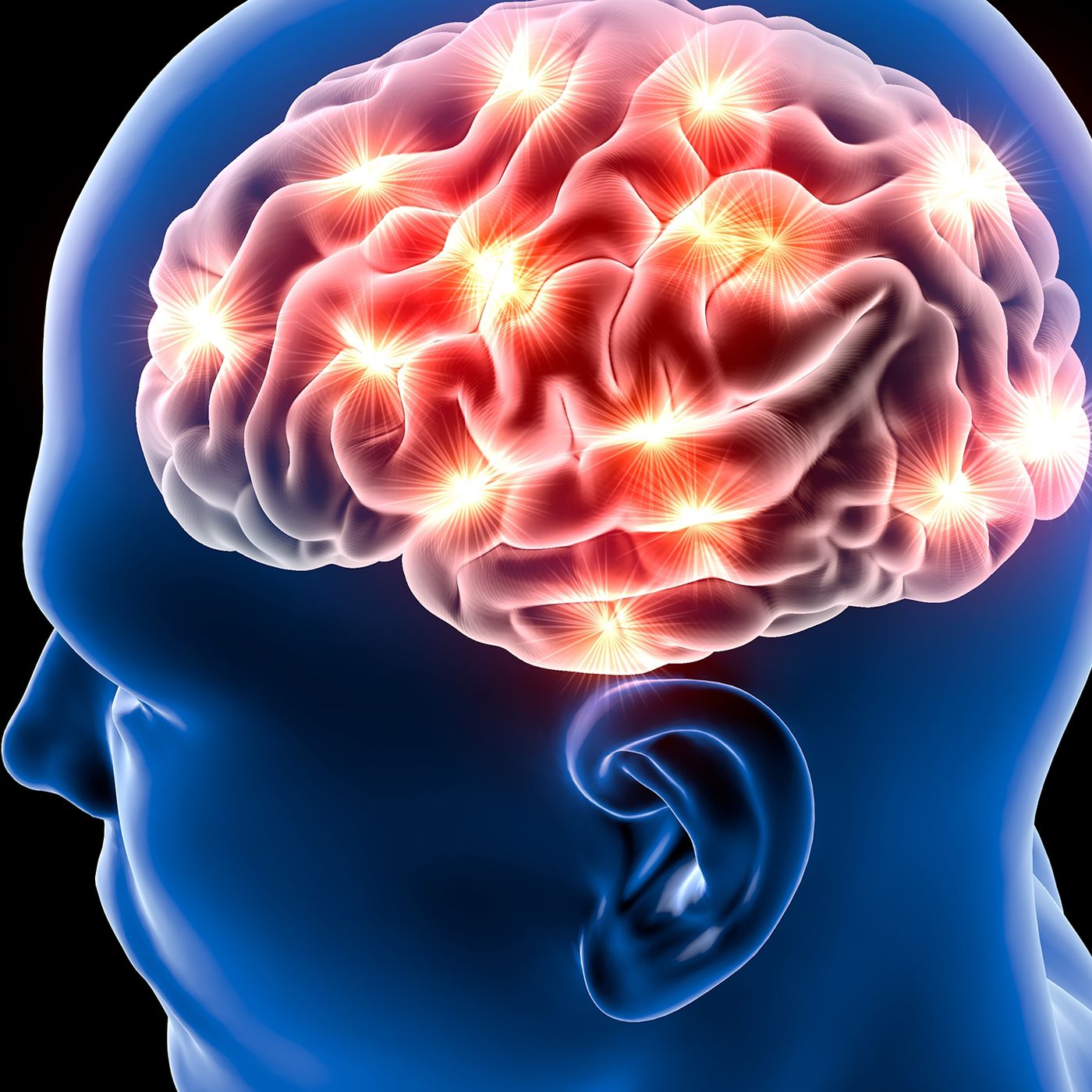 Understanding the Brain