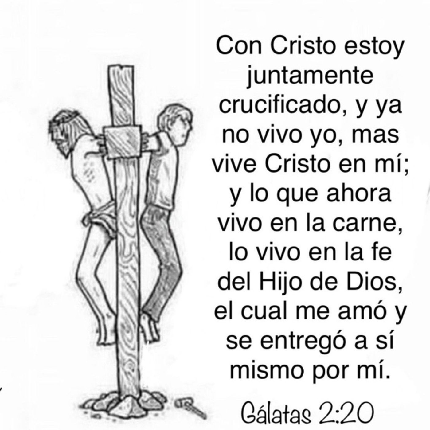 Su delicia