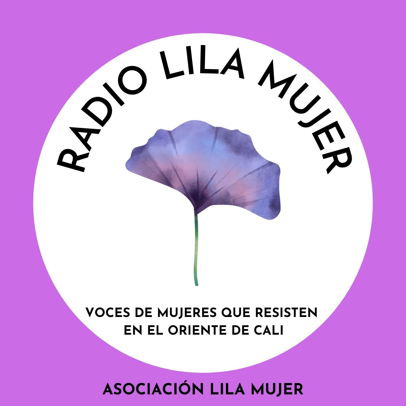 Radio Lila Mujer