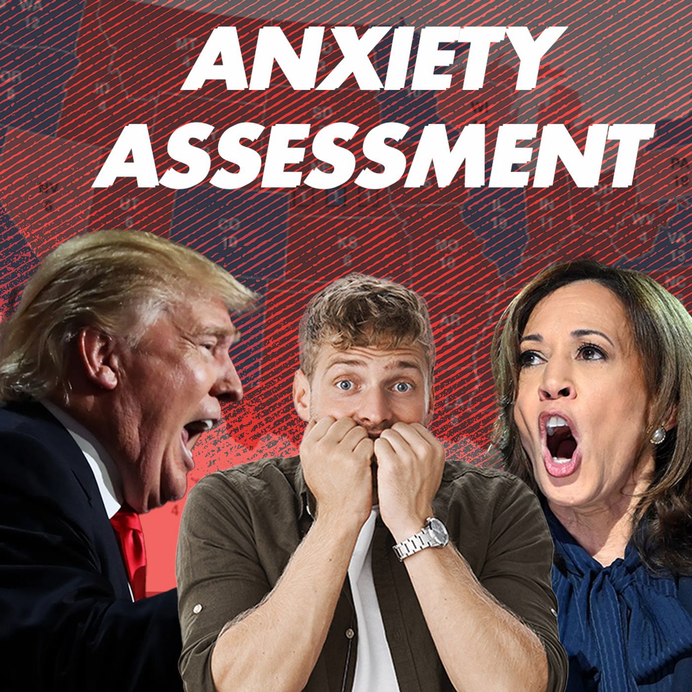 The Anxiety Assesment