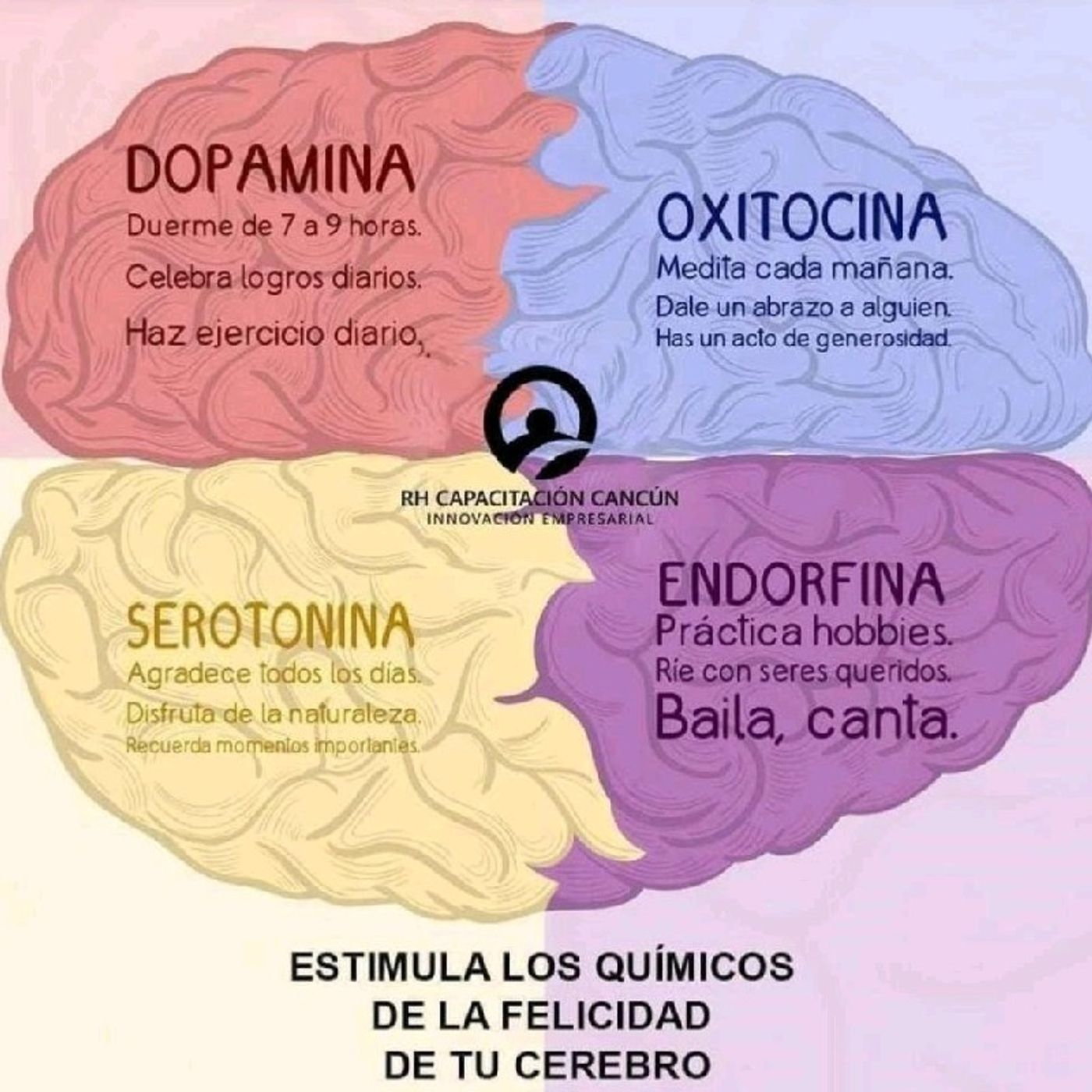 Emotional intelligence for daily life