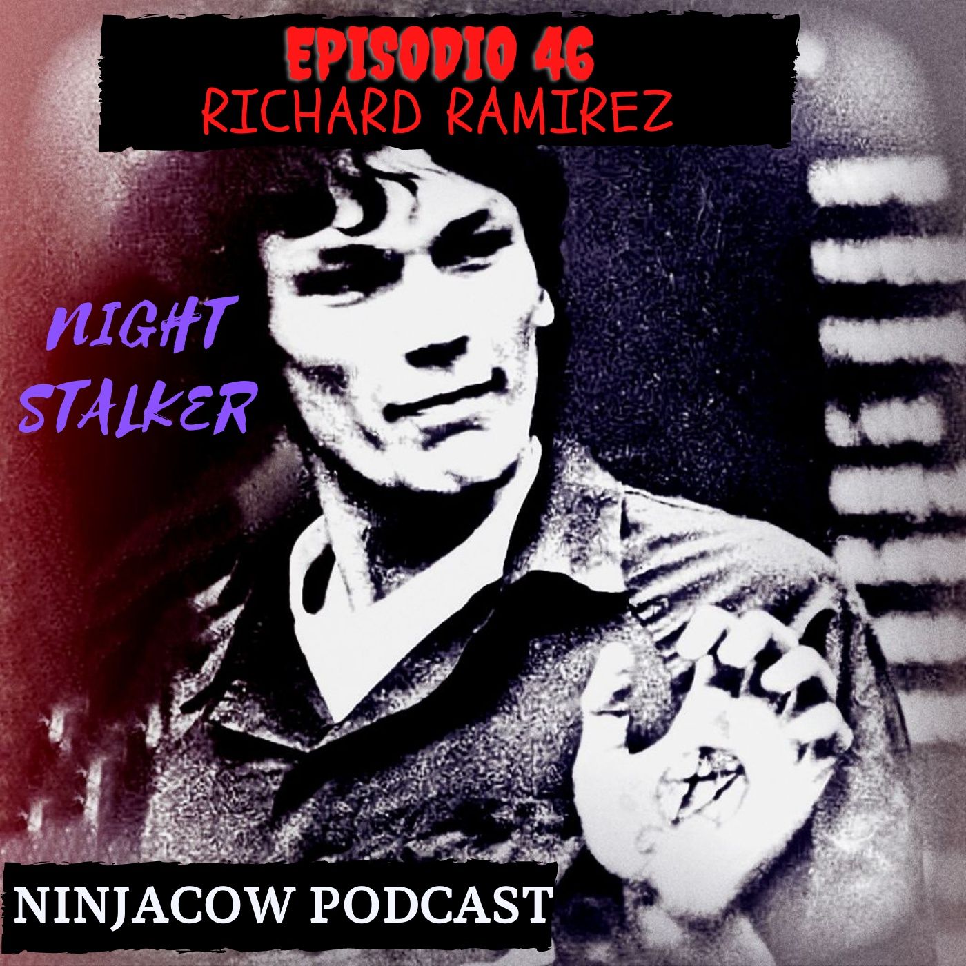 Ninjacow Podcast