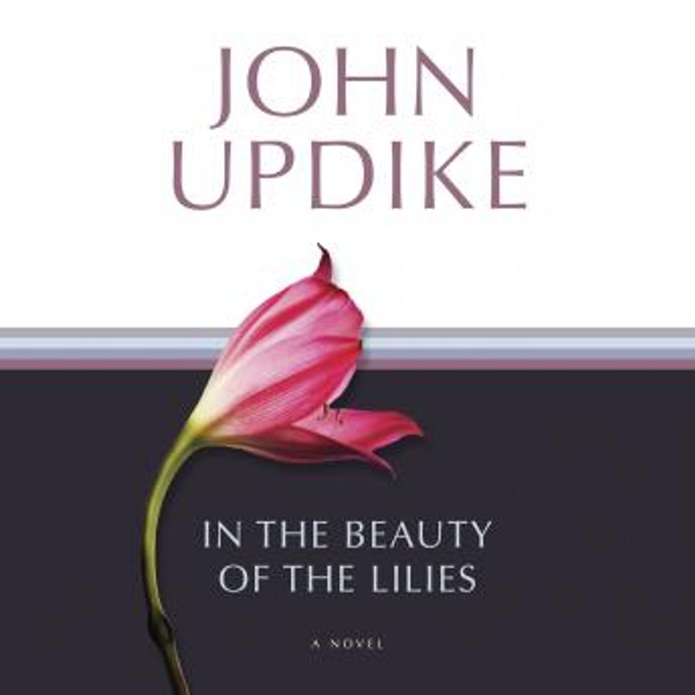 Stream Popular Full Audiobooks in Fiction, Drama