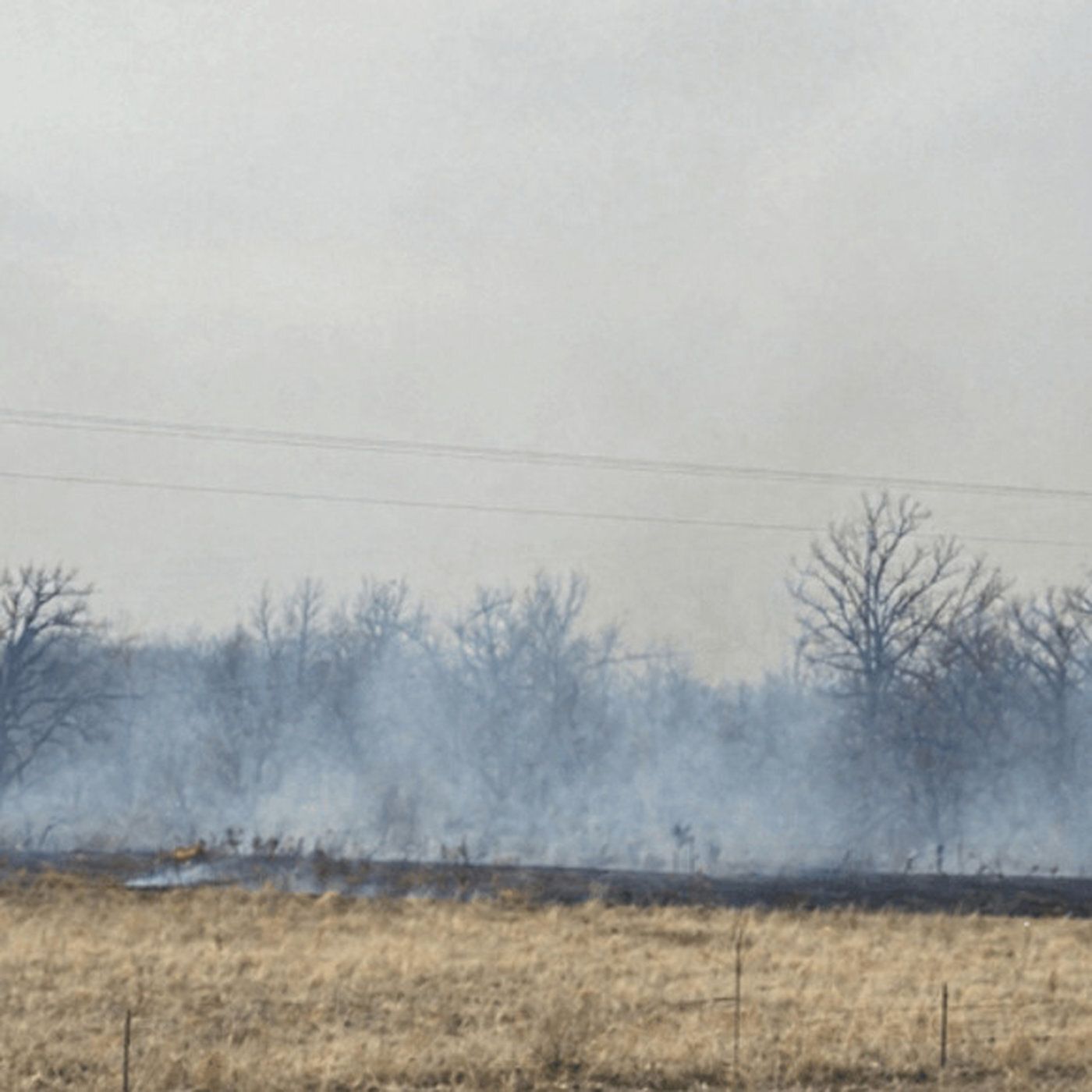 Is Smoke Heading Your Way? Current Live Forest Wildfire and Smoke Map Today in Oklahoma City, OK | Real-Time Air Quality Tracking & Family S episode artwork