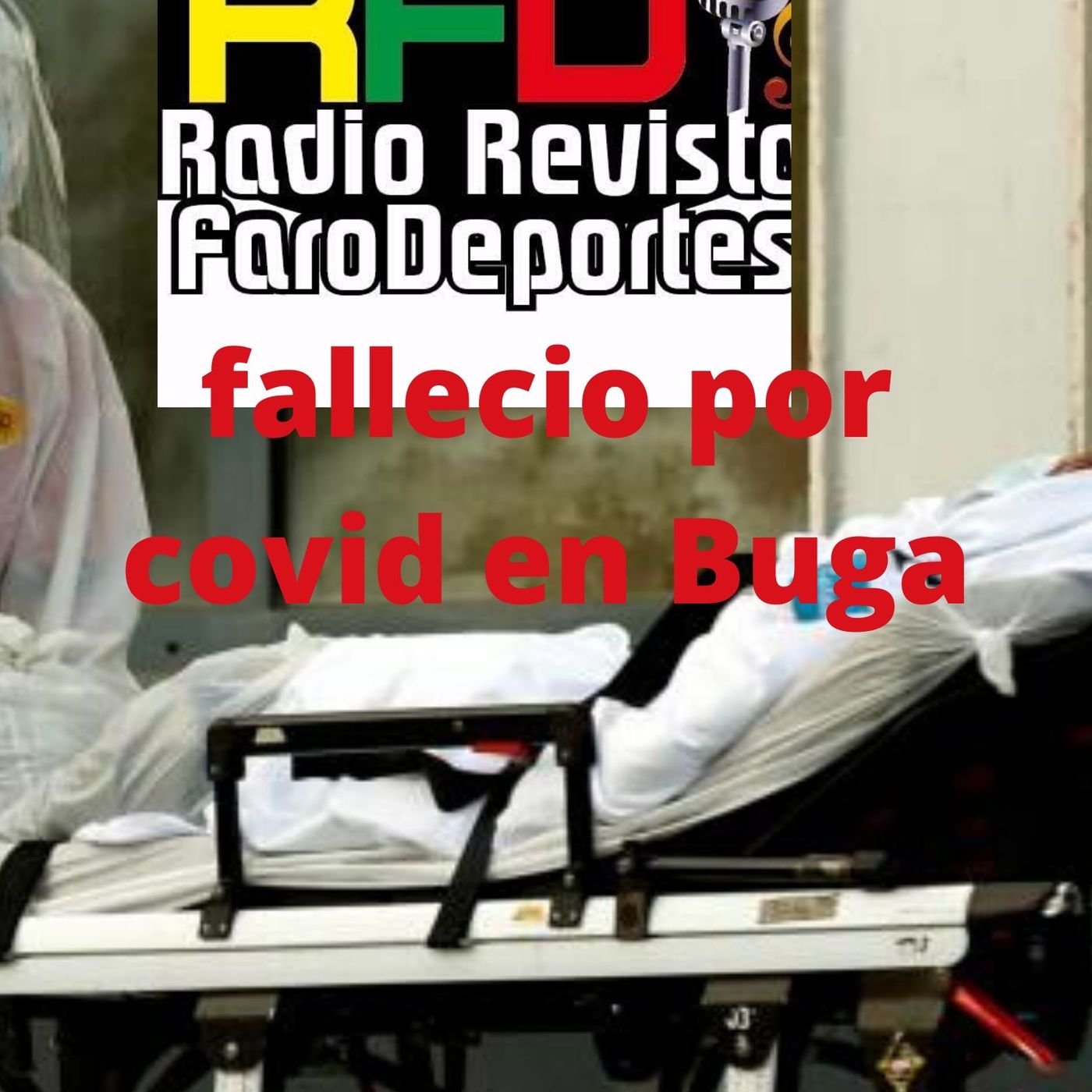 DEPORTE-RITMO Y SALUD