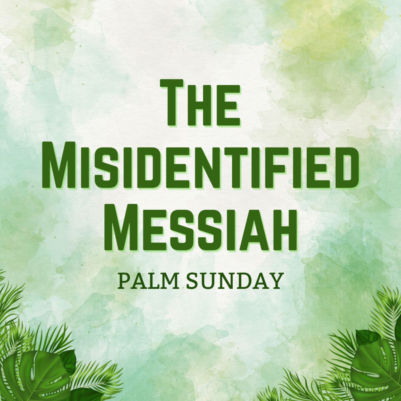 The Misidentified Messiah - Palm Sunday