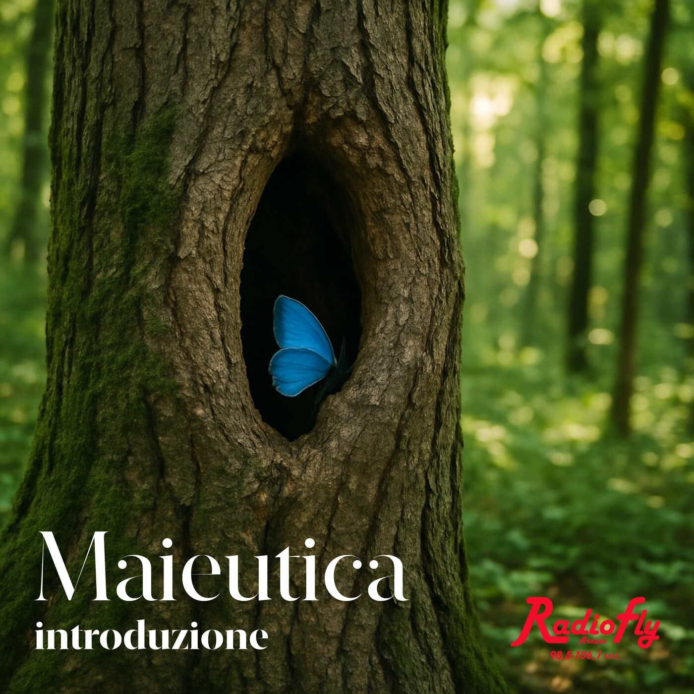 Flylive Maieutica cover art