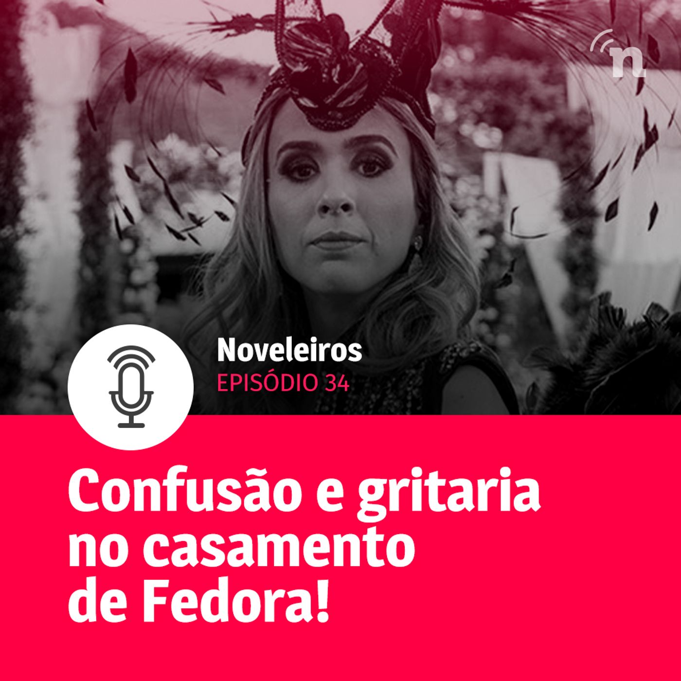 Noveleiros