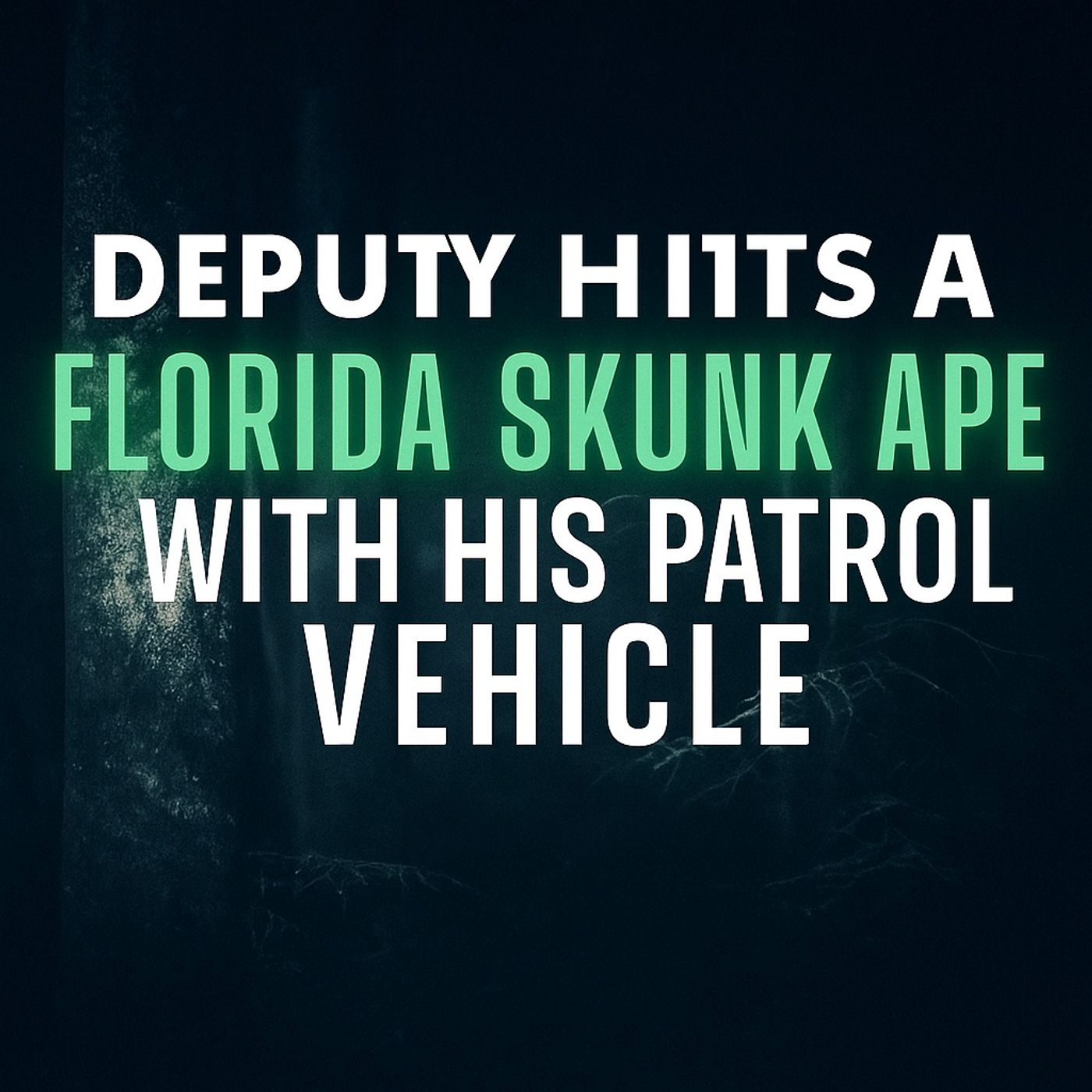 FLORIDA SKUNK APE: DEPUTY SMASHES INTO A SASQUATCH WITH HIS PATROL VEHICLE!