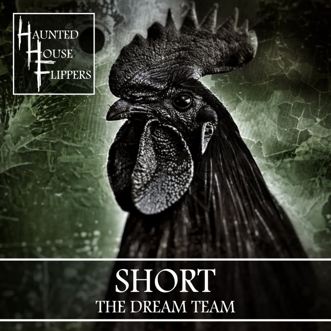 HHF Short: The Dream Team artwork