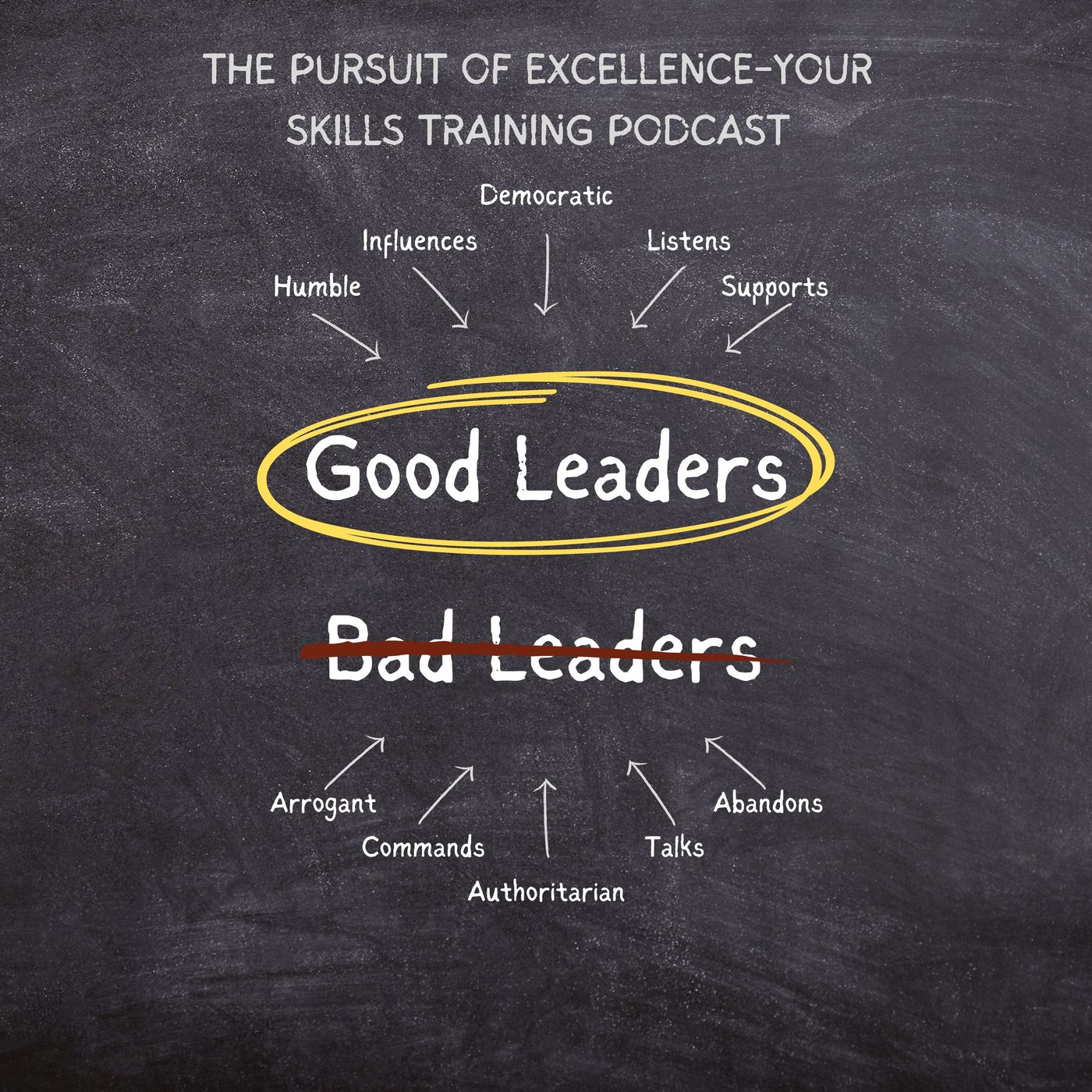 The Pursuit of Excellence-Your Skills Training Podcast