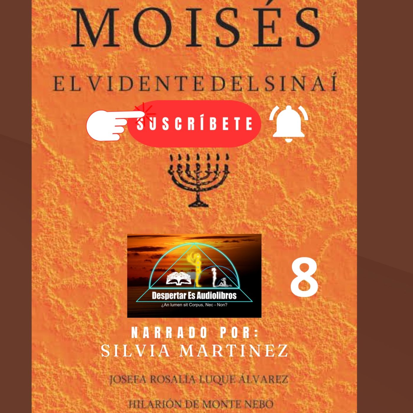 La Voz Interior. Silvia Martínez1