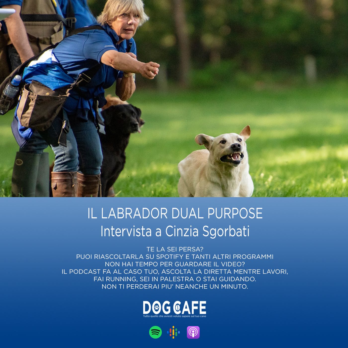 Dog Cafe Podcast
