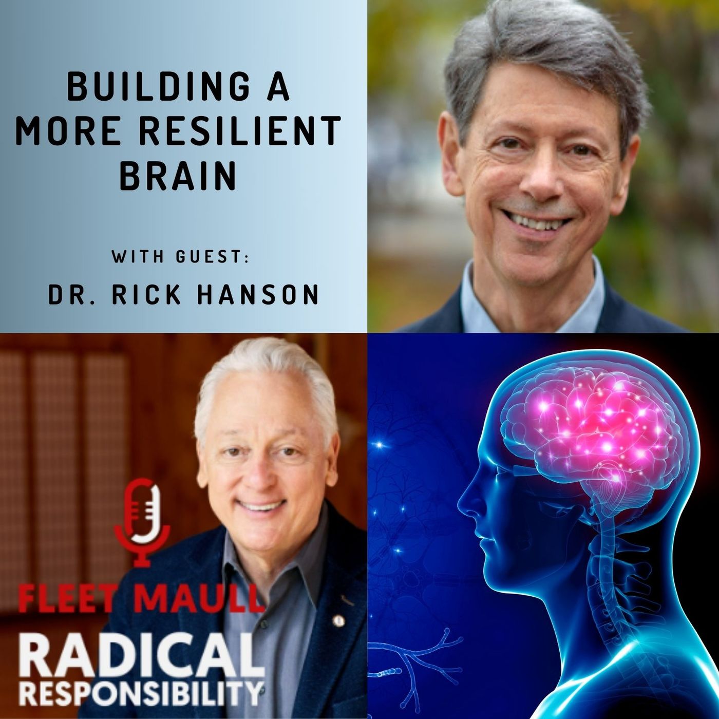 EP 108: Building a More Resilient Brain | Dr. Rick Hanson