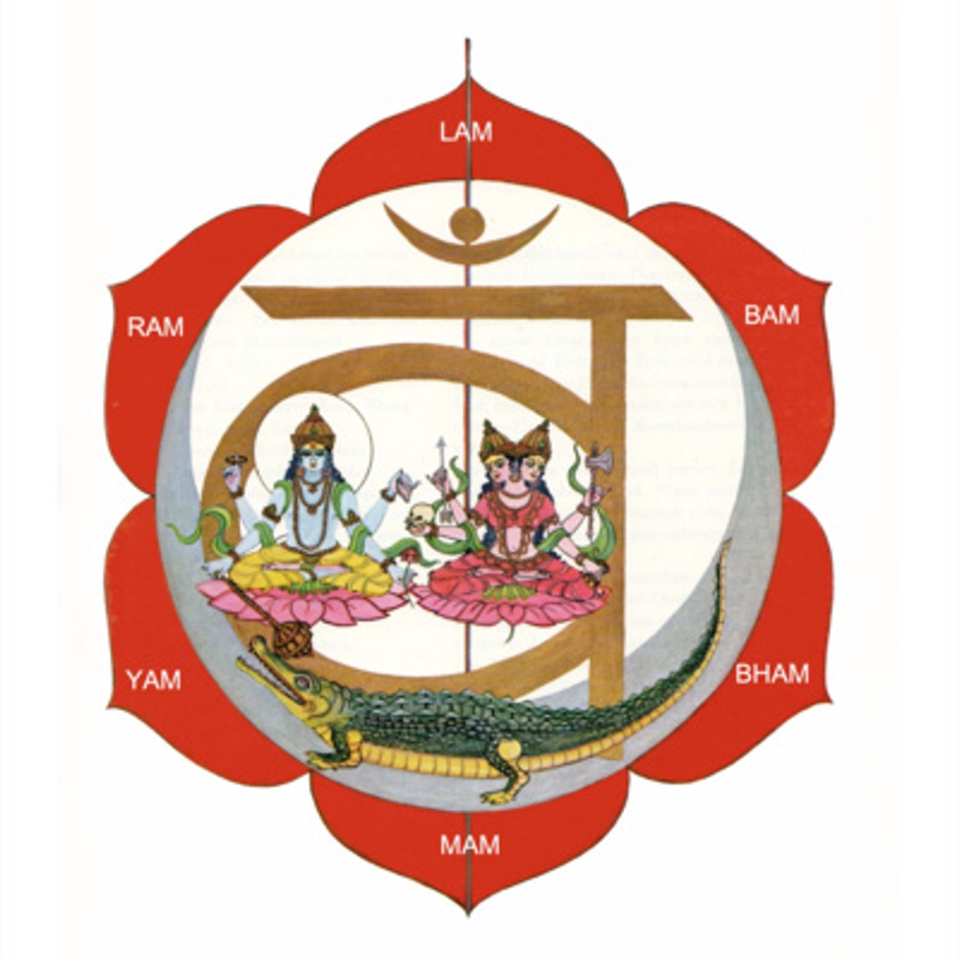 Lo Svadhisthana Chakra - Prima puntata episode artwork