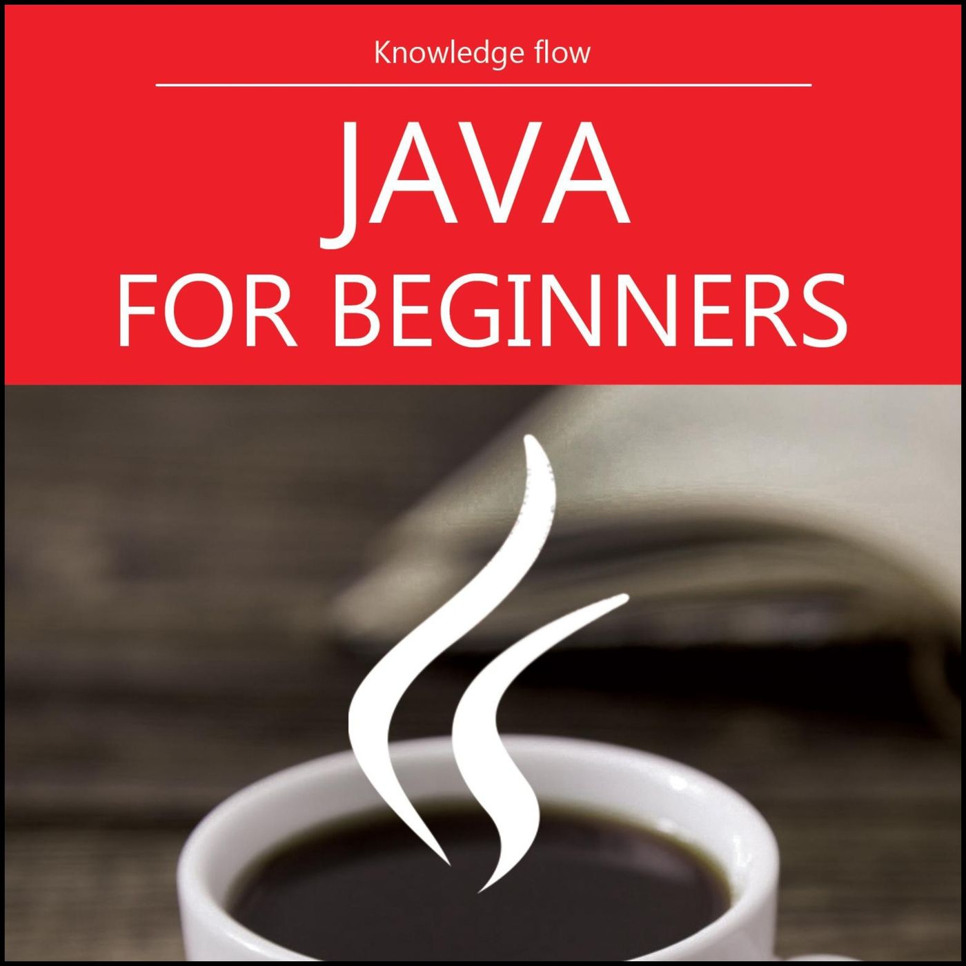 JAVA FOR BEGINNERS