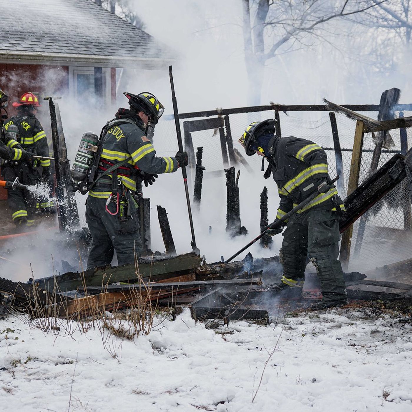 Several chickens perish in backyard coop fire in Woodstock episode artwork