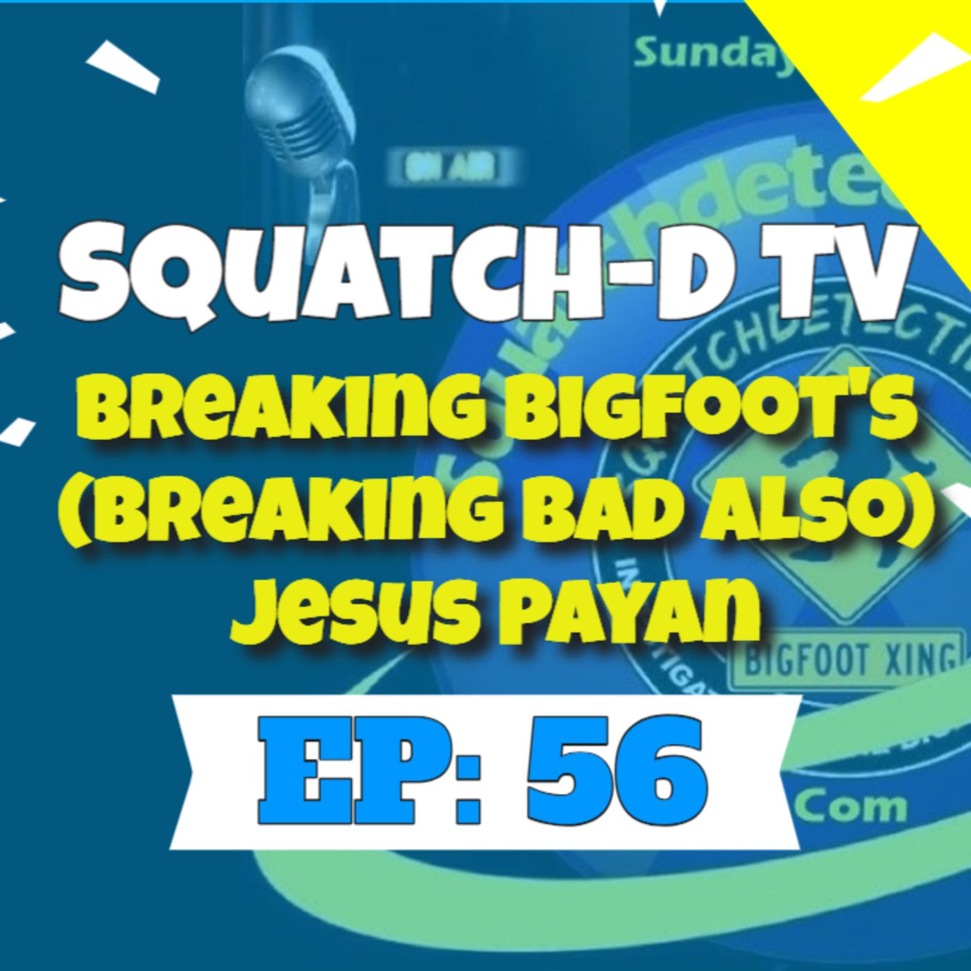 The Bigfoot Mystery - Squatch-D TV