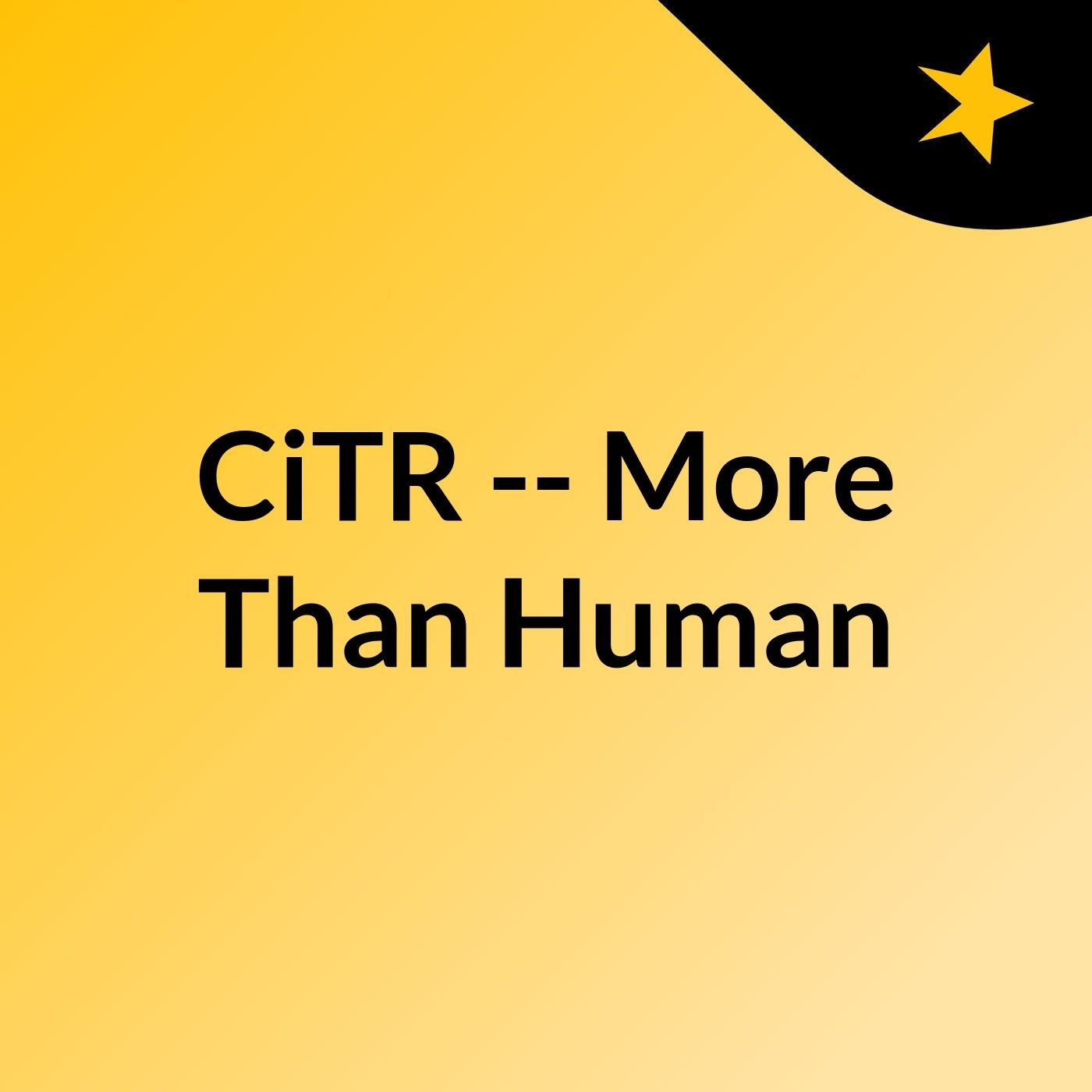 CiTR — More Than Human