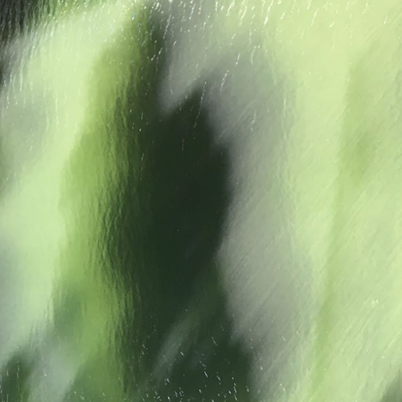 The Spook Who Sleuths by Daniel P. Douglas