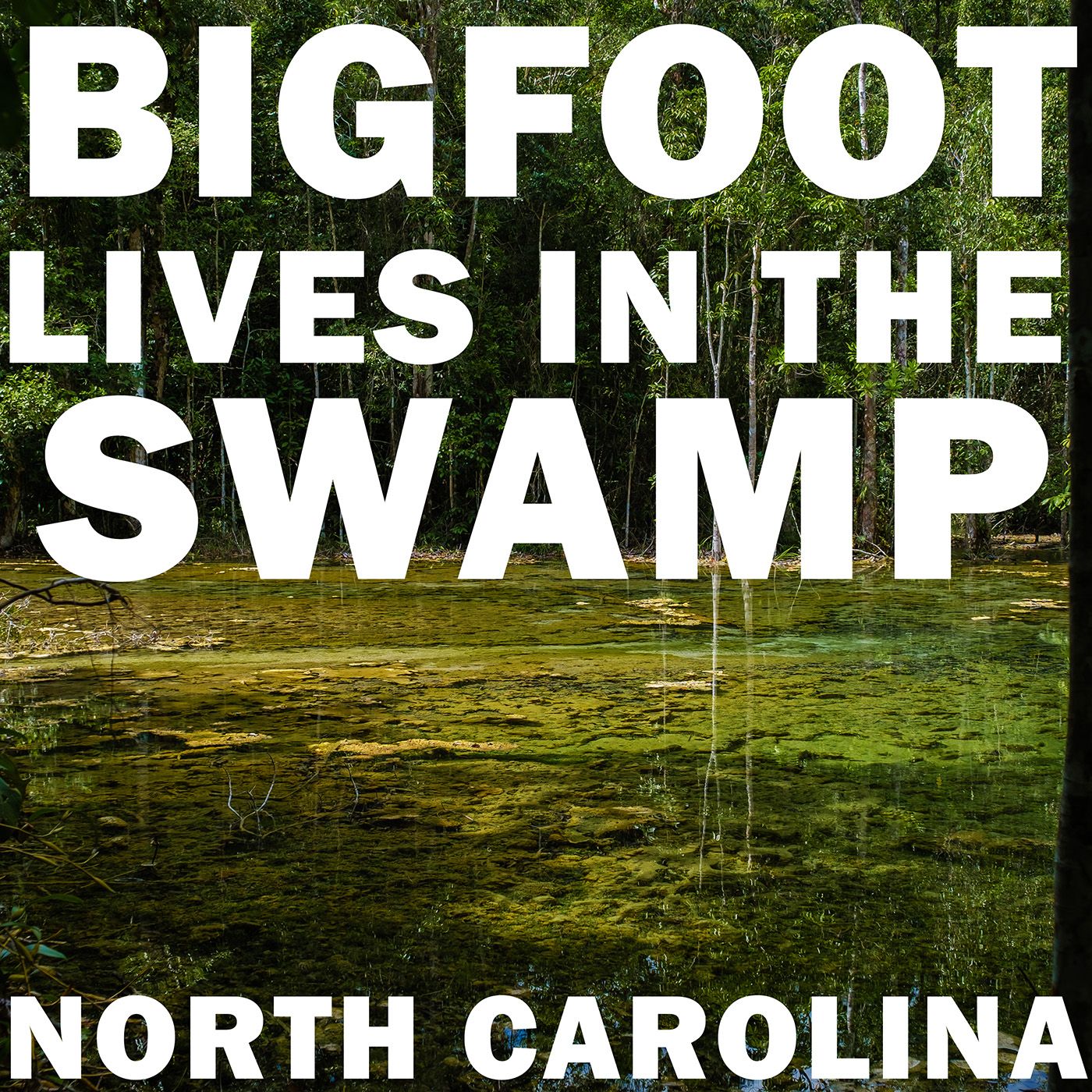 I ENCOUNTERED BIGFOOT IN THE SWAMPS OF NORTH CAROLINA | IT WAS TERRITORIAL!!!