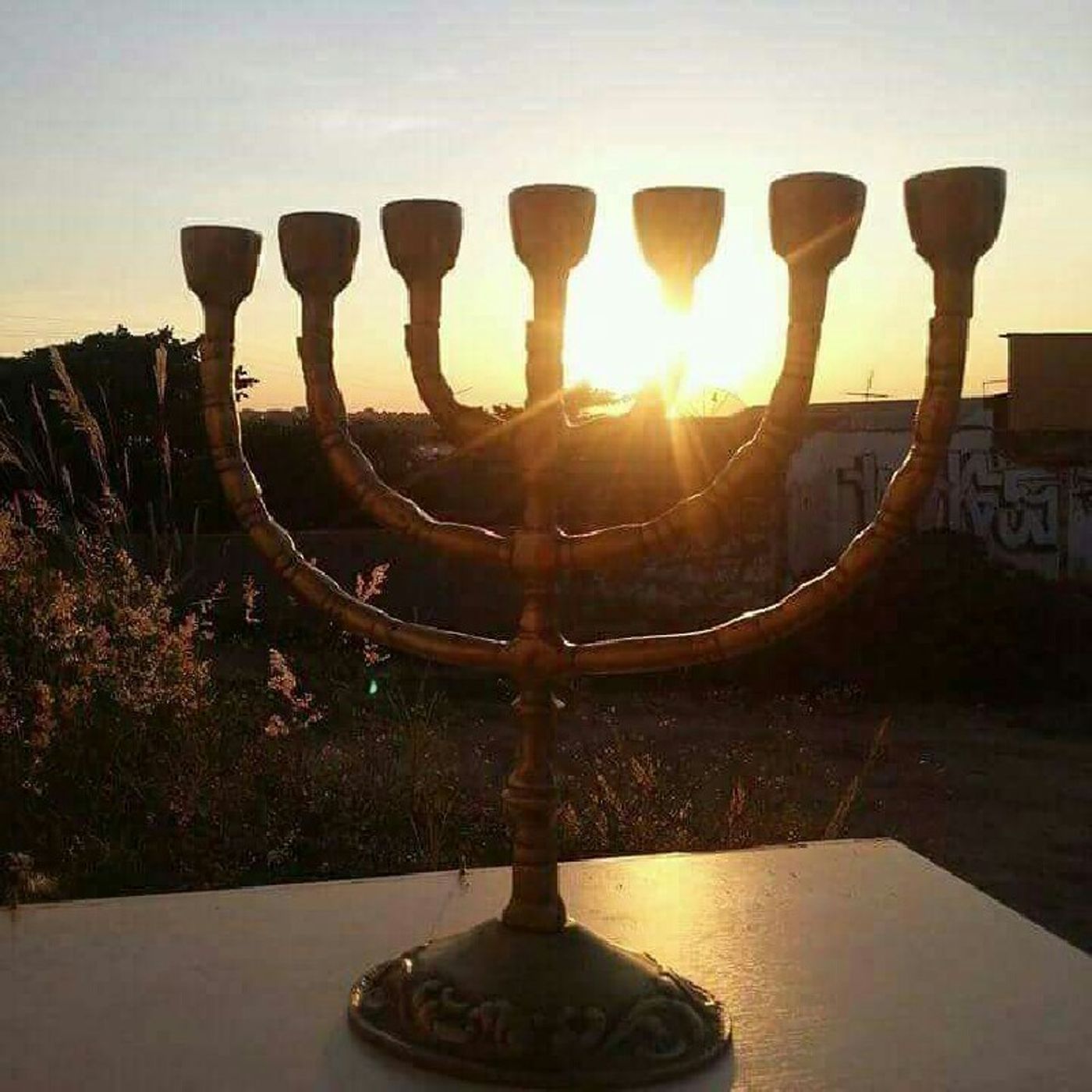 Shalom episode artwork