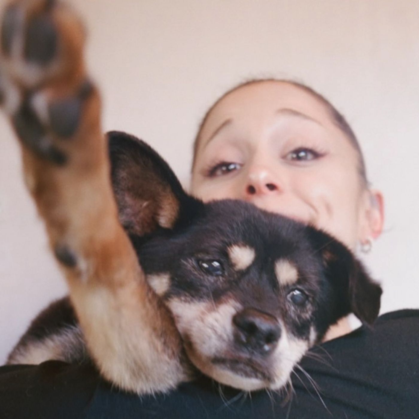 Ariana Grande's dog Coco has passed away at 17 years old; share your pet story in comments episode artwork