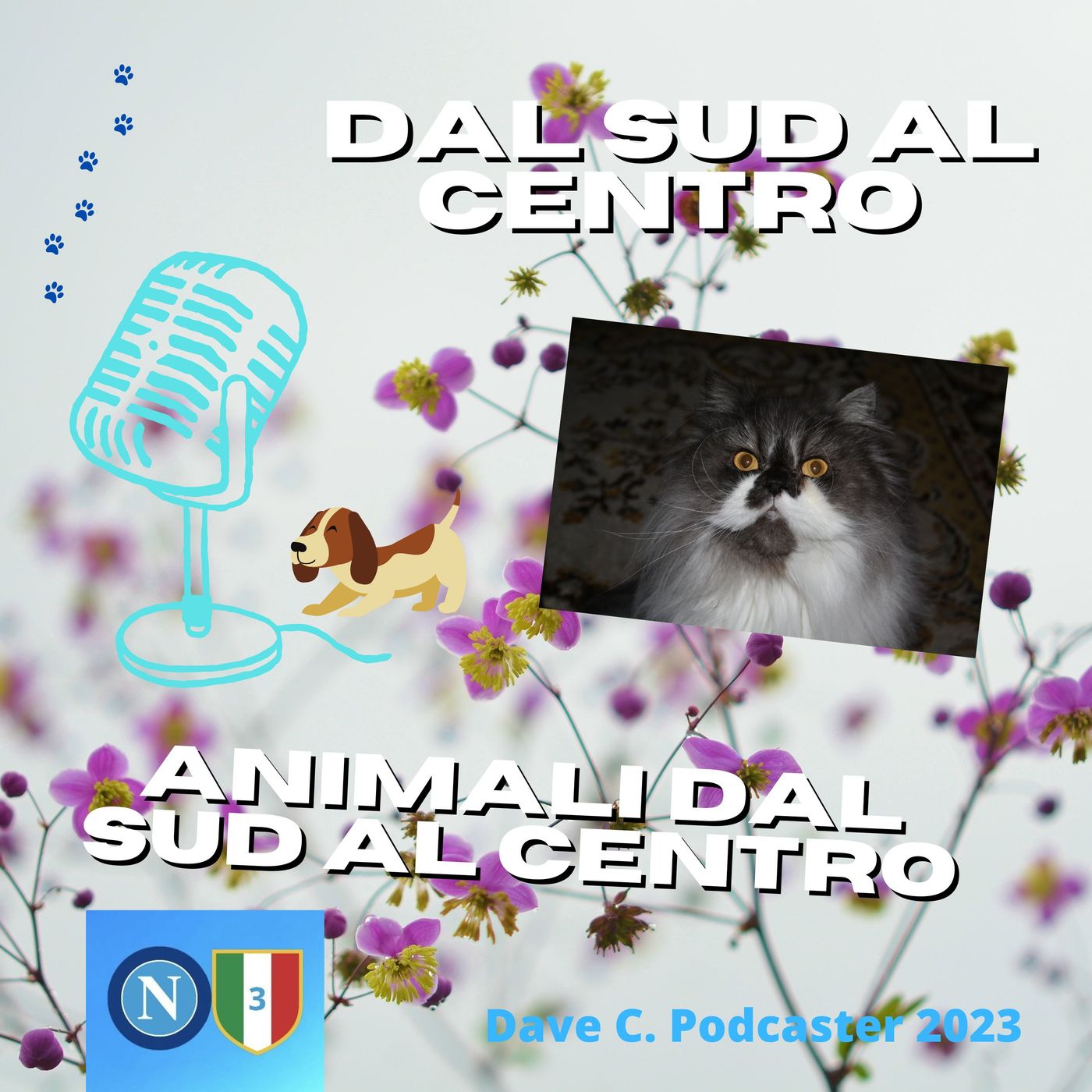 Dal Sud  al Centro
