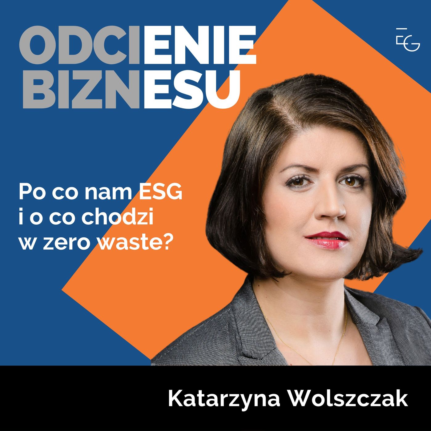 Odcienie biznesu