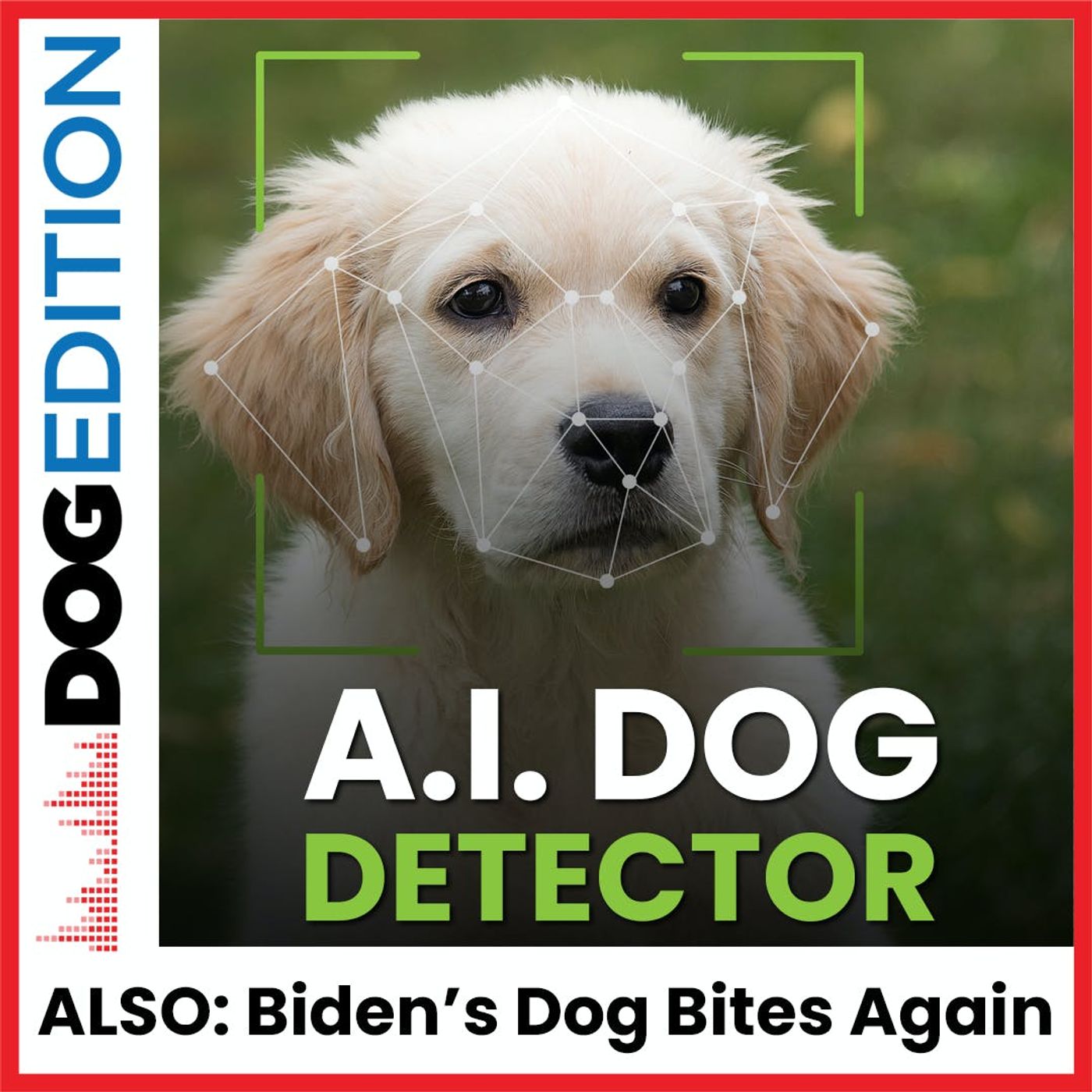 Dog Edition
