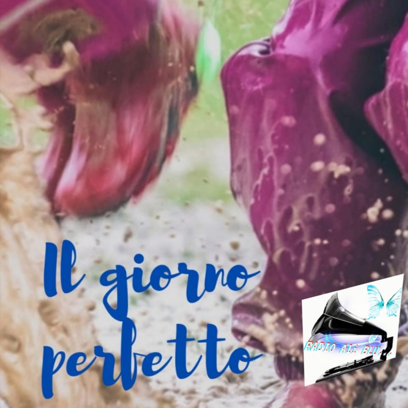 Radio Ali Blu... Il podcast delle emozioni!