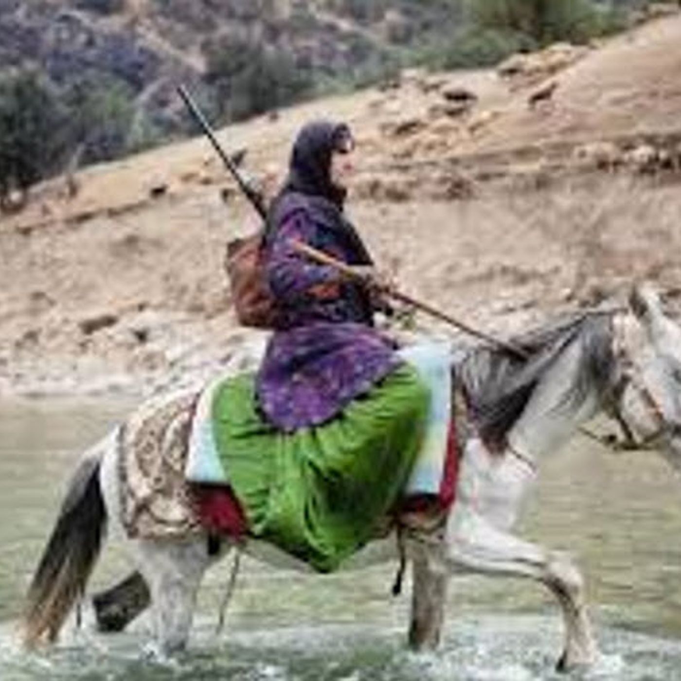 سرکوب ملیتها درنظام شاه وشیخ چرا؟ صلاح عبدالله نژاد