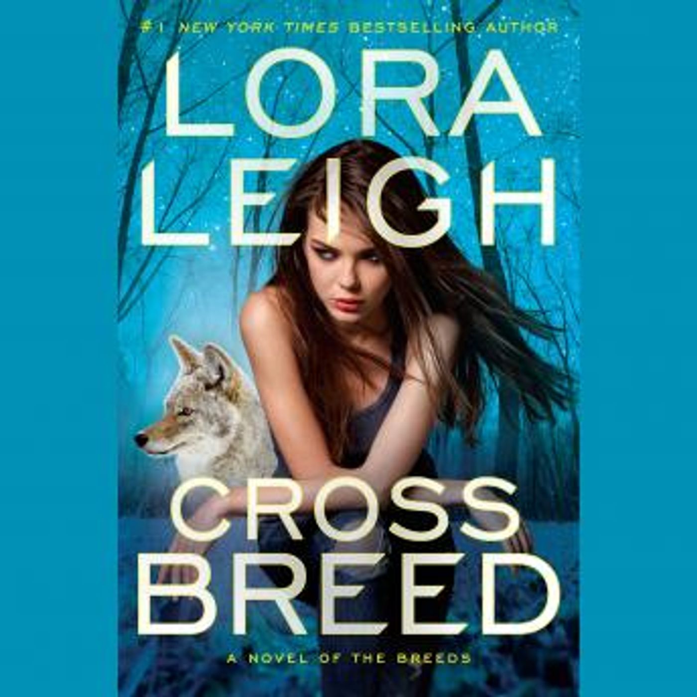 Download Best Full Audiobooks in Romance, Romantasy