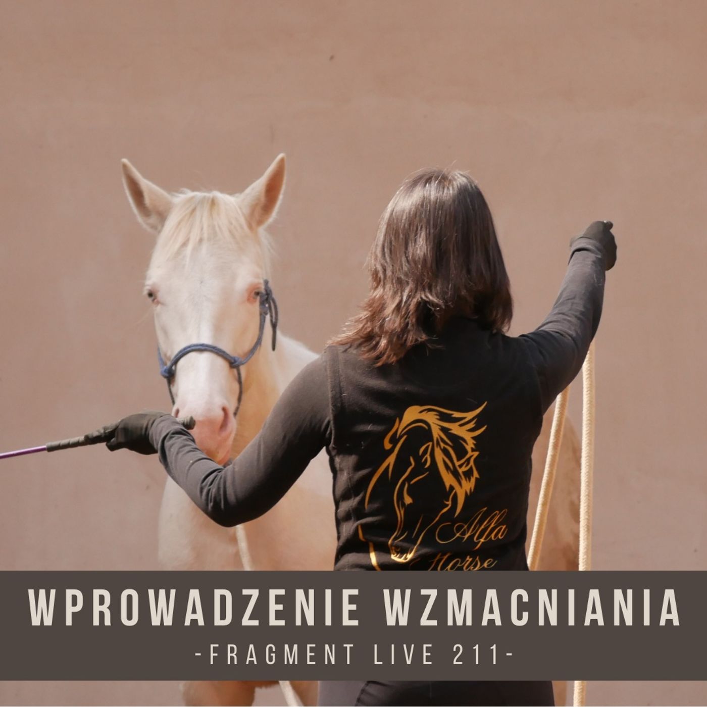 Wprowadzenie wzmacniania - fragment live 211