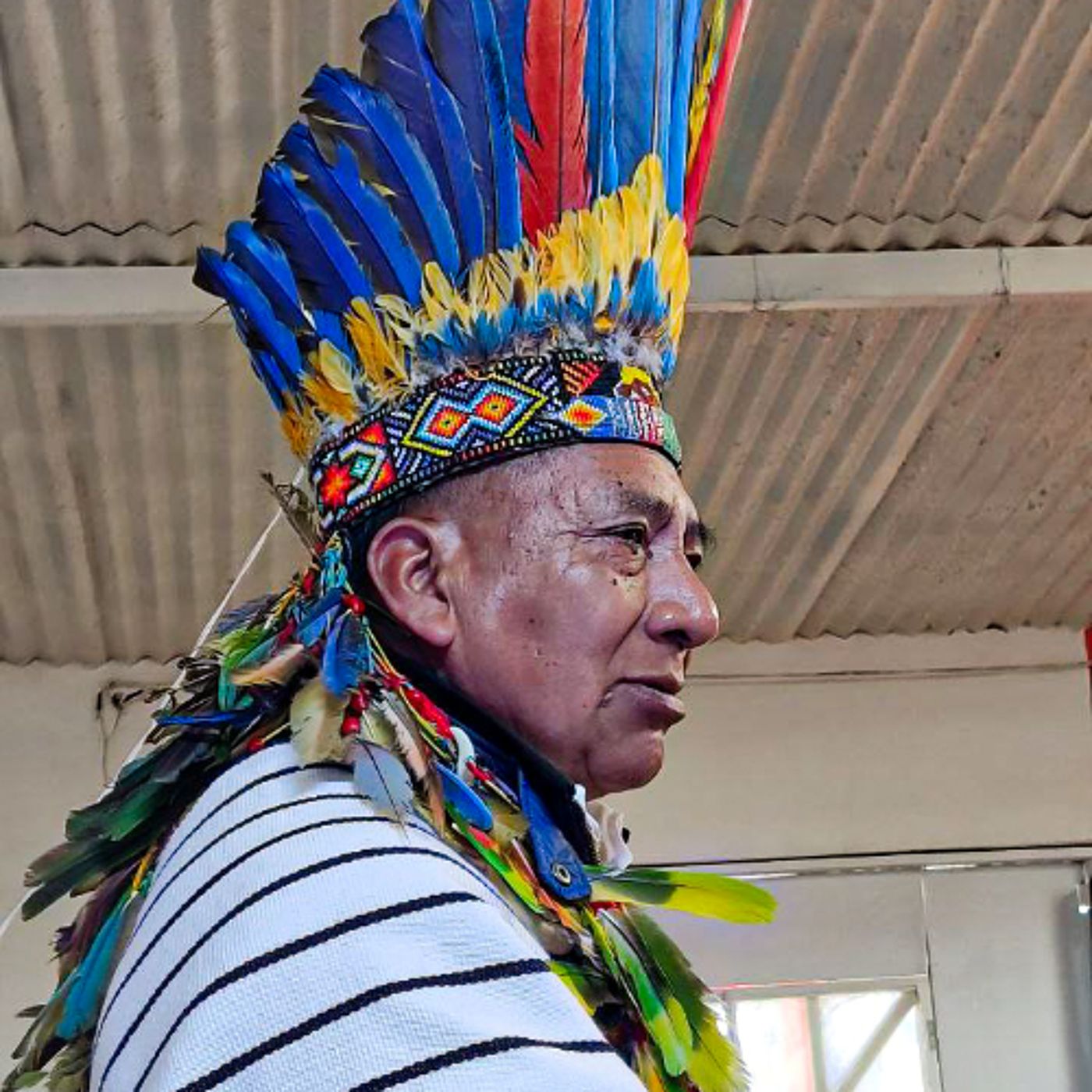 Cantando y sanando ando, cápsula 1: Casa Museo “Los Mocoas”