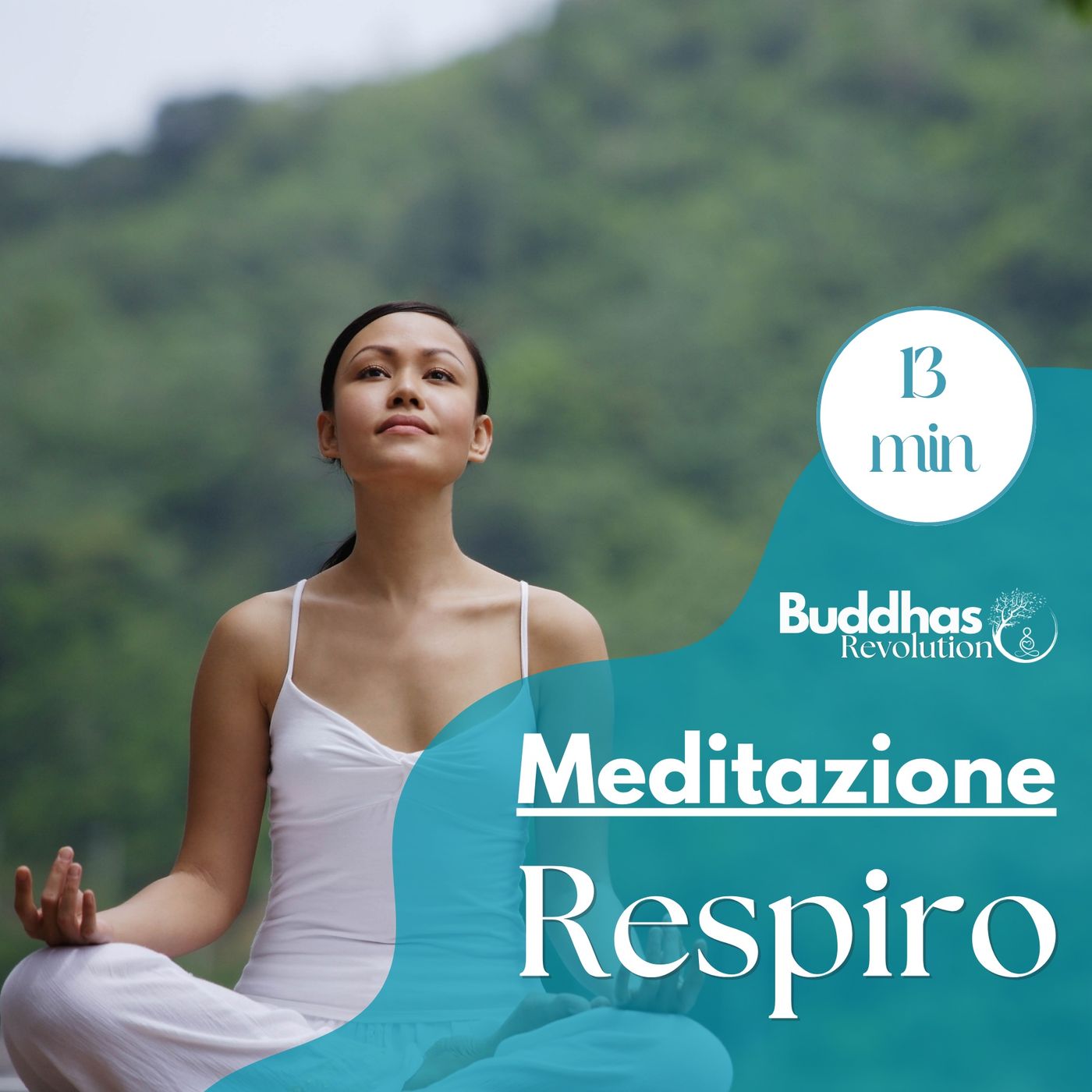Buddhas Revolution