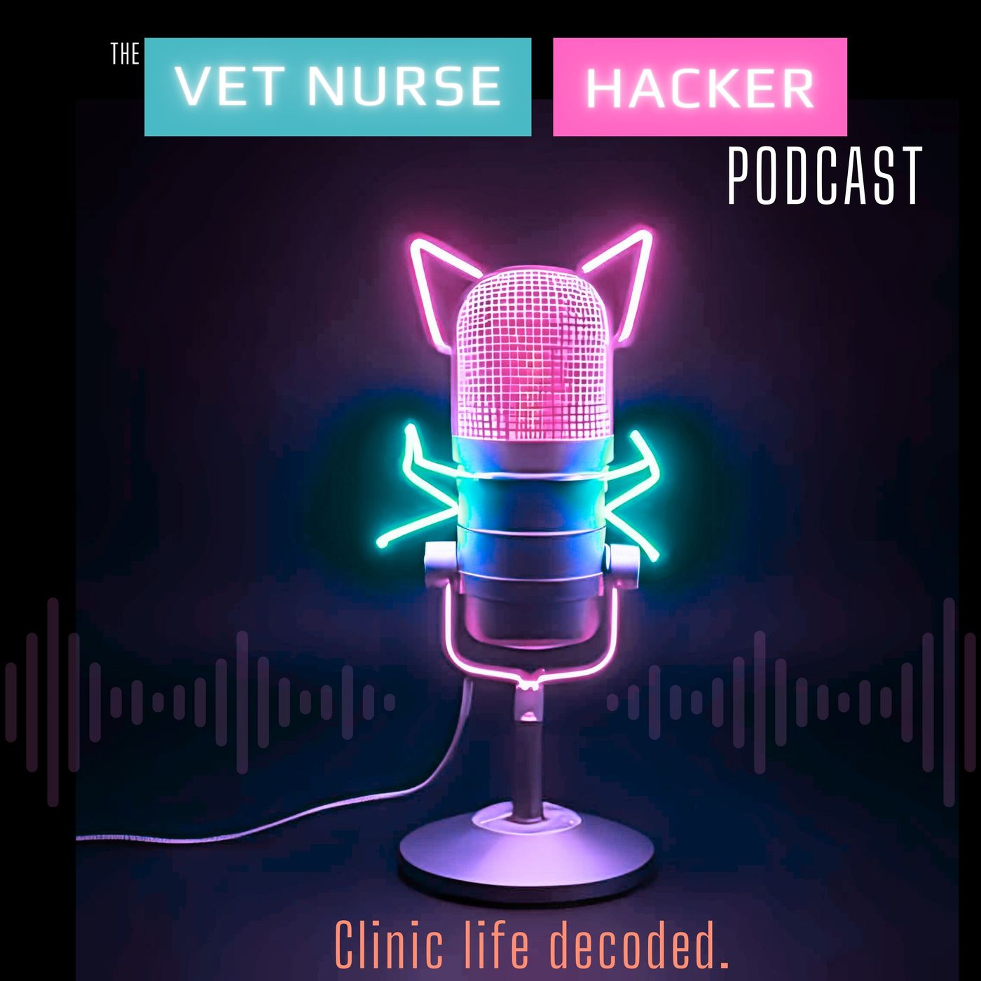 The Vet Nurse Hacker Podcast