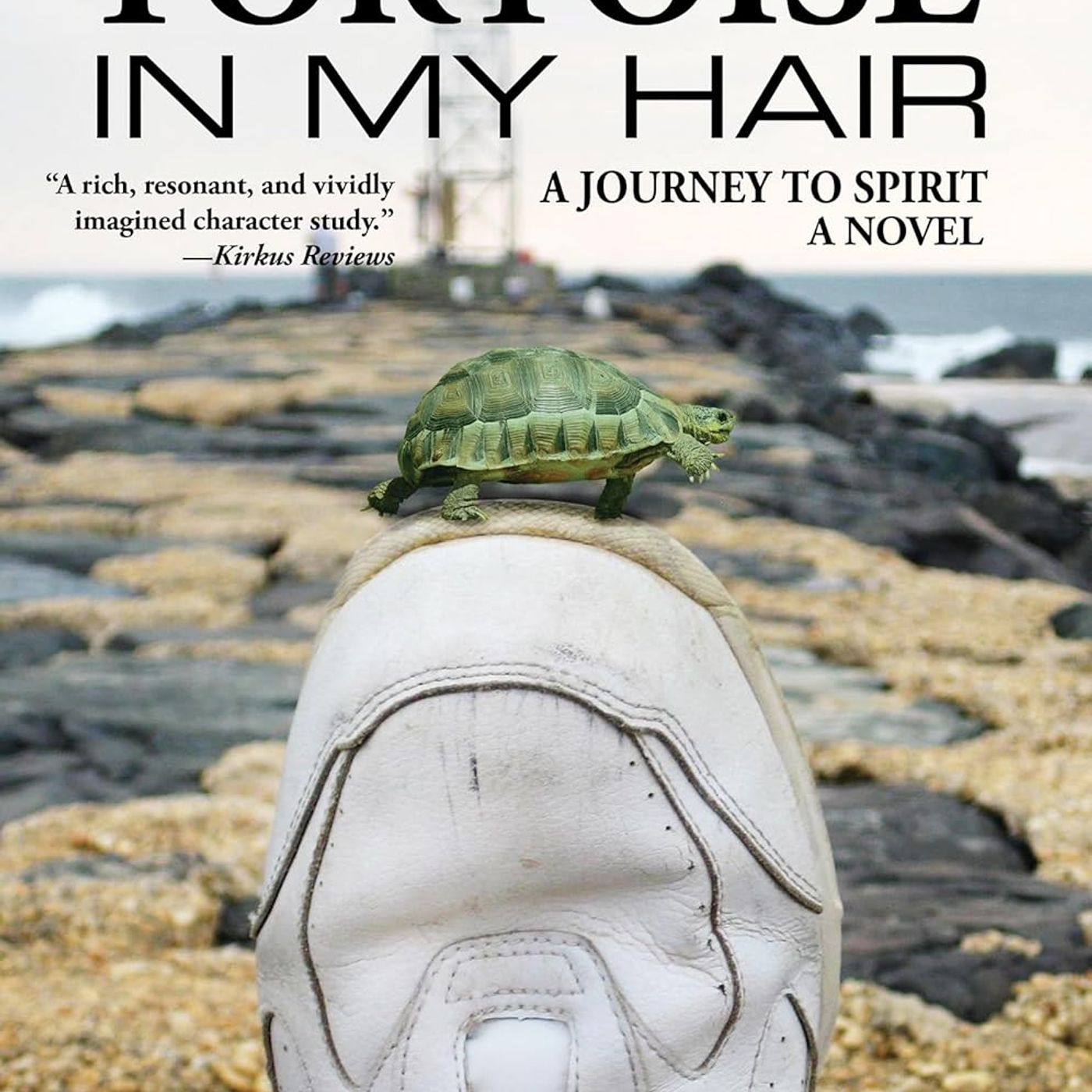 NJ self-employed author/producer Calvin Schwartz is my guest with “There’s A Tortoise in My Hair"! episode artwork