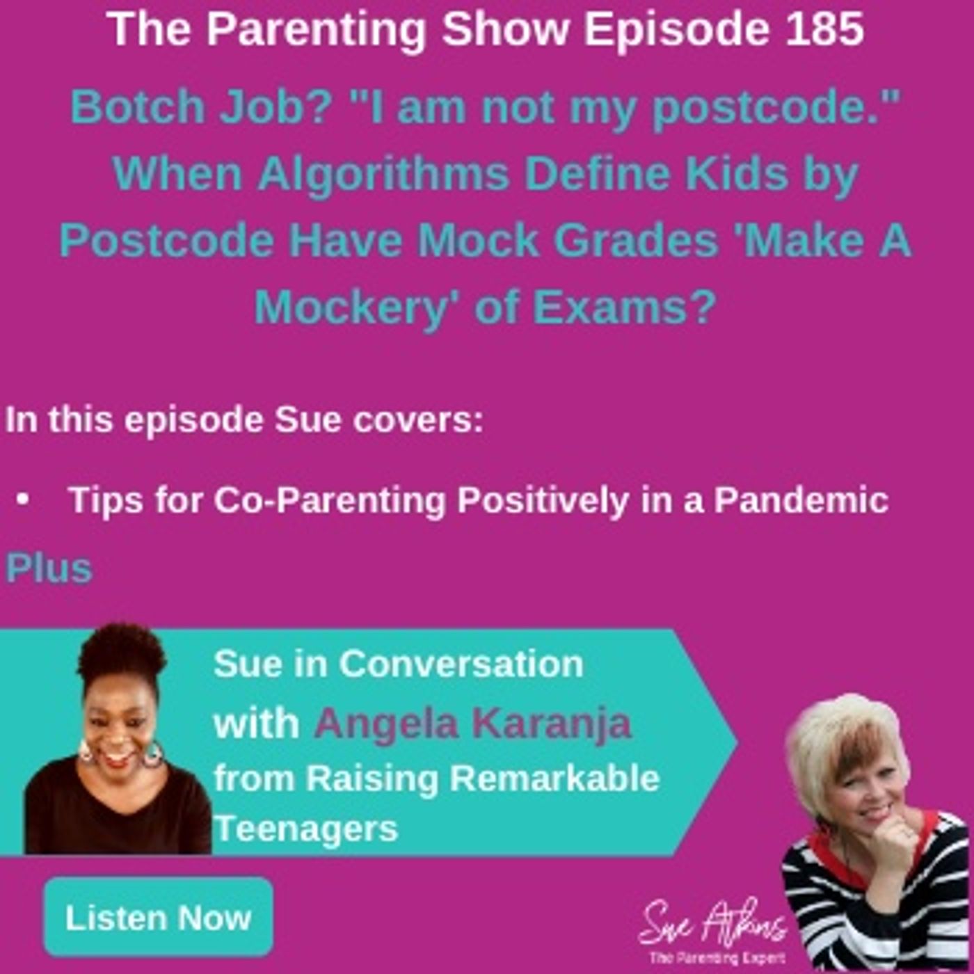 The Sue Atkins Parenting Show