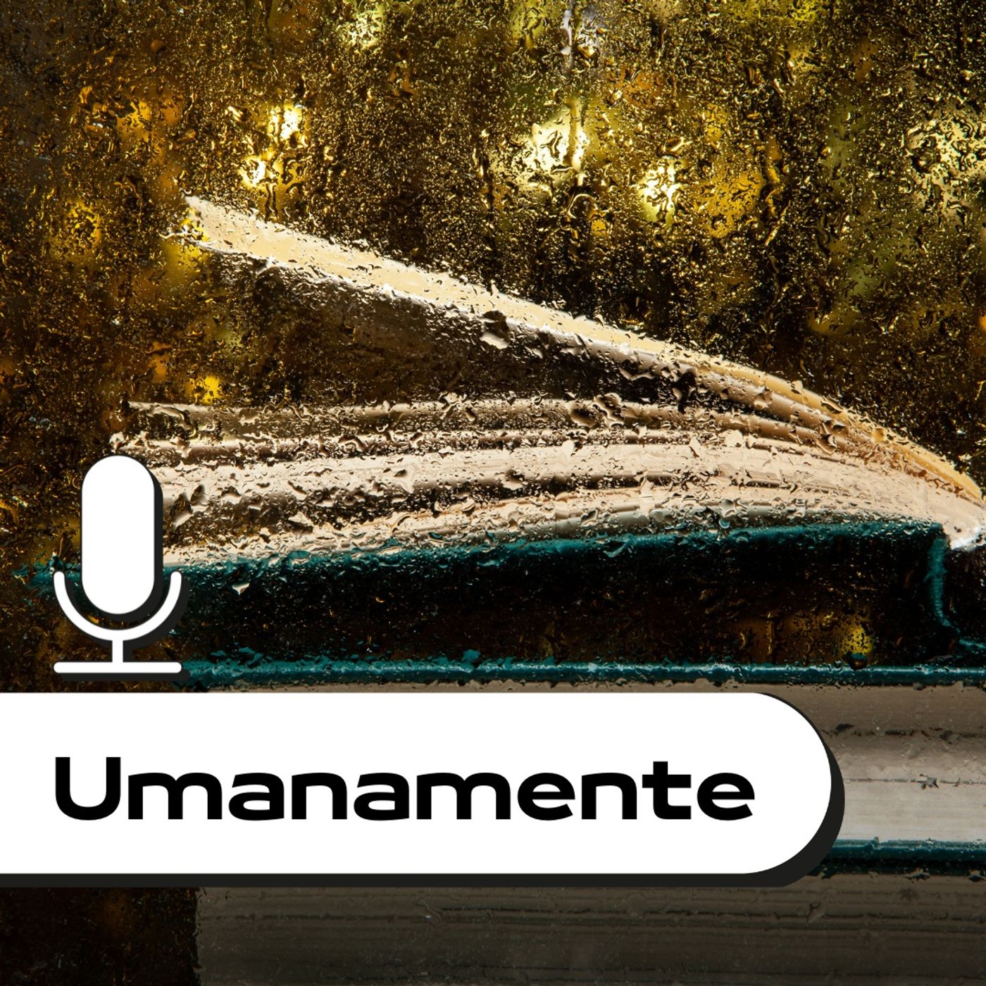 Umanamente: parole dopo la pioggia-UniBo